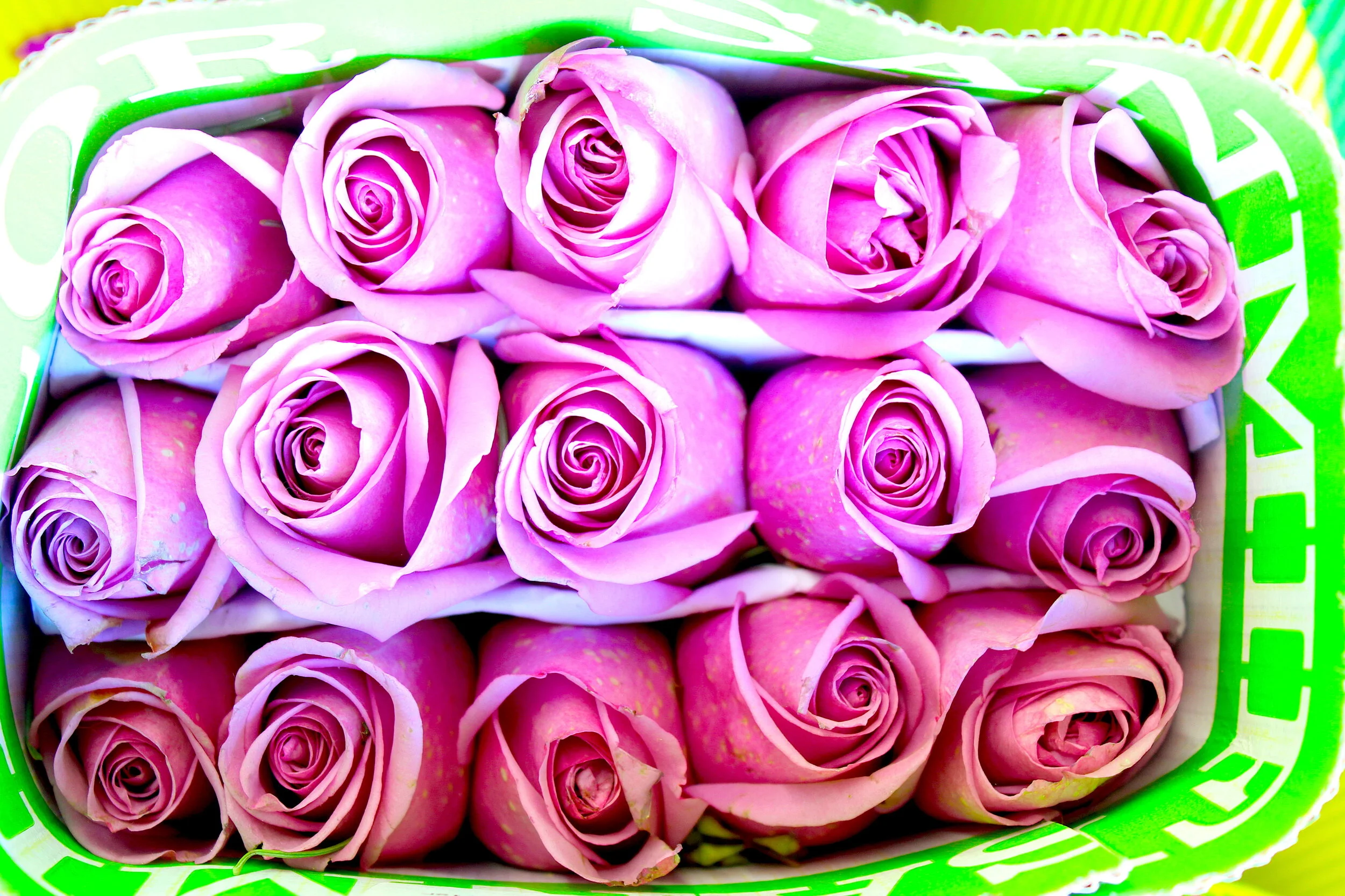 Bobby McGowan #photographer #stuntdriver #videographer #saucedistrict #blogger #fashion #bobbymcgowan street photography Jaded LA #jadedla #flowers #food #travel #perspectiveart