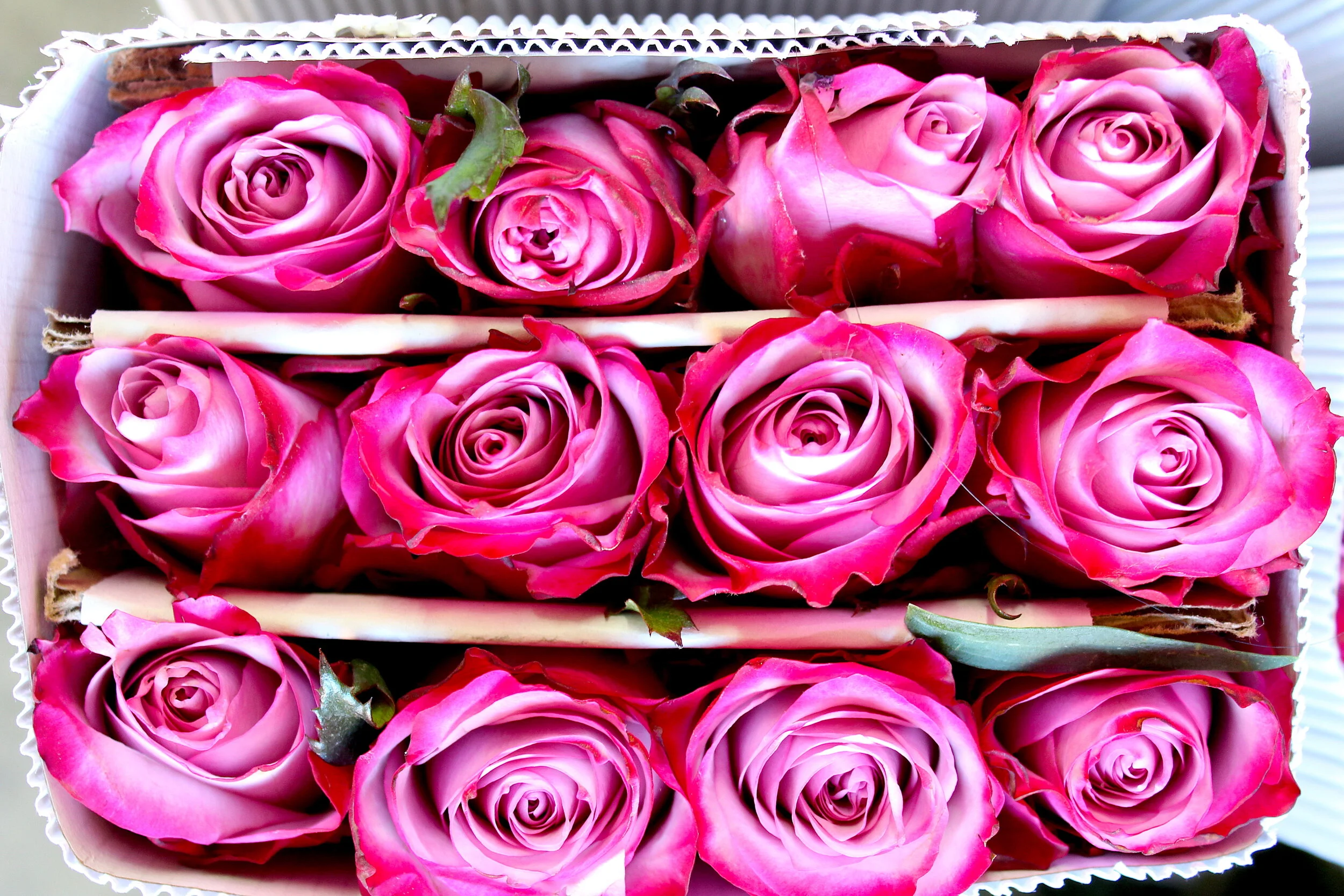 Bobby McGowan #photographer #stuntdriver #videographer #saucedistrict #blogger #fashion #bobbymcgowan street photography Jaded LA #jadedla #flowers #food #travel #perspectiveart