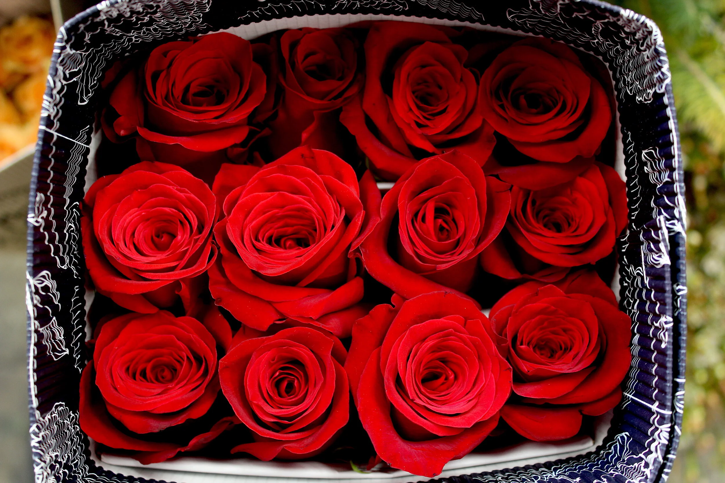 Bobby McGowan #photographer #stuntdriver #videographer #saucedistrict #blogger #fashion #bobbymcgowan street photography Jaded LA #jadedla #flowers #food #travel #perspectiveart