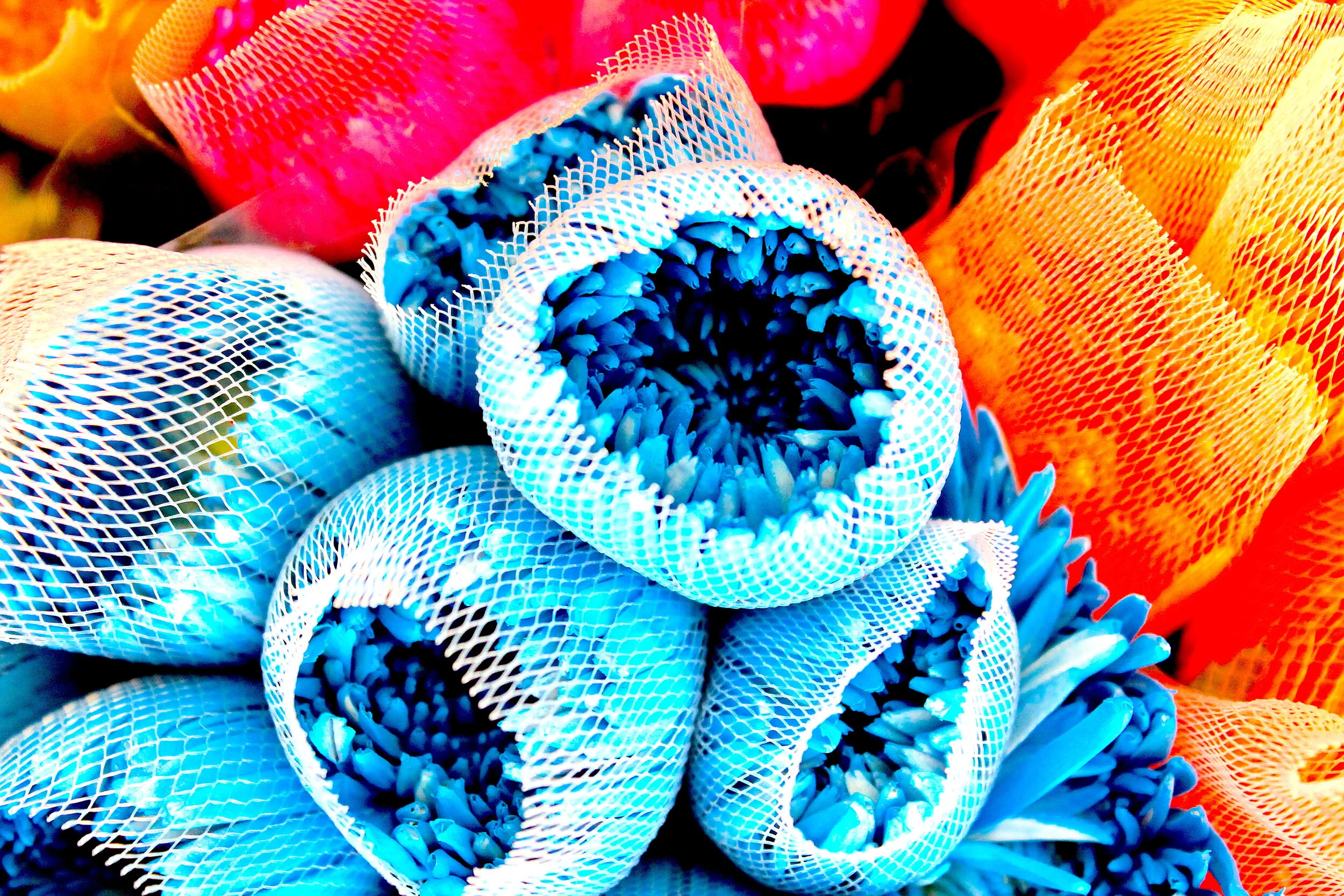 Bobby McGowan #photographer #stuntdriver #videographer #saucedistrict #blogger #fashion #bobbymcgowan street photography Jaded LA #jadedla #flowers #food #travel #perspectiveart