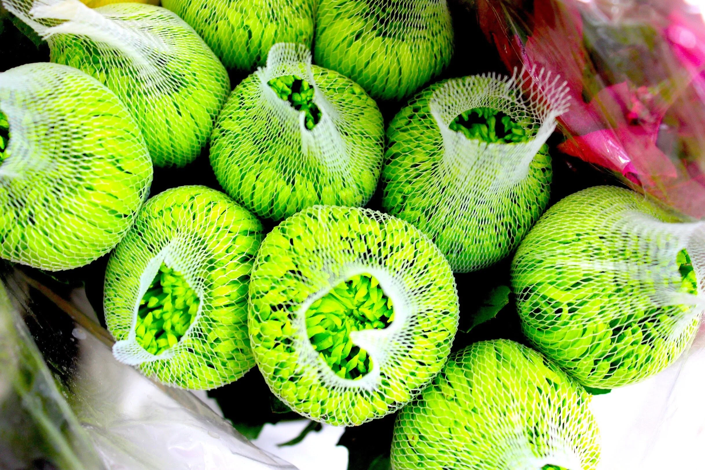 Bobby McGowan #photographer #stuntdriver #videographer #saucedistrict #blogger #fashion #bobbymcgowan street photography Jaded LA #jadedla #flowers #food #travel #perspectiveart