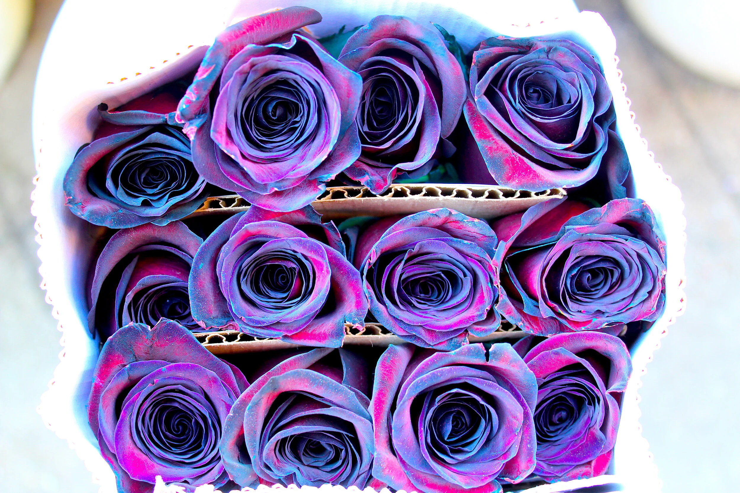 Bobby McGowan #photographer #stuntdriver #videographer #saucedistrict #blogger #fashion #bobbymcgowan street photography Jaded LA #jadedla #flowers #food #travel #perspectiveart