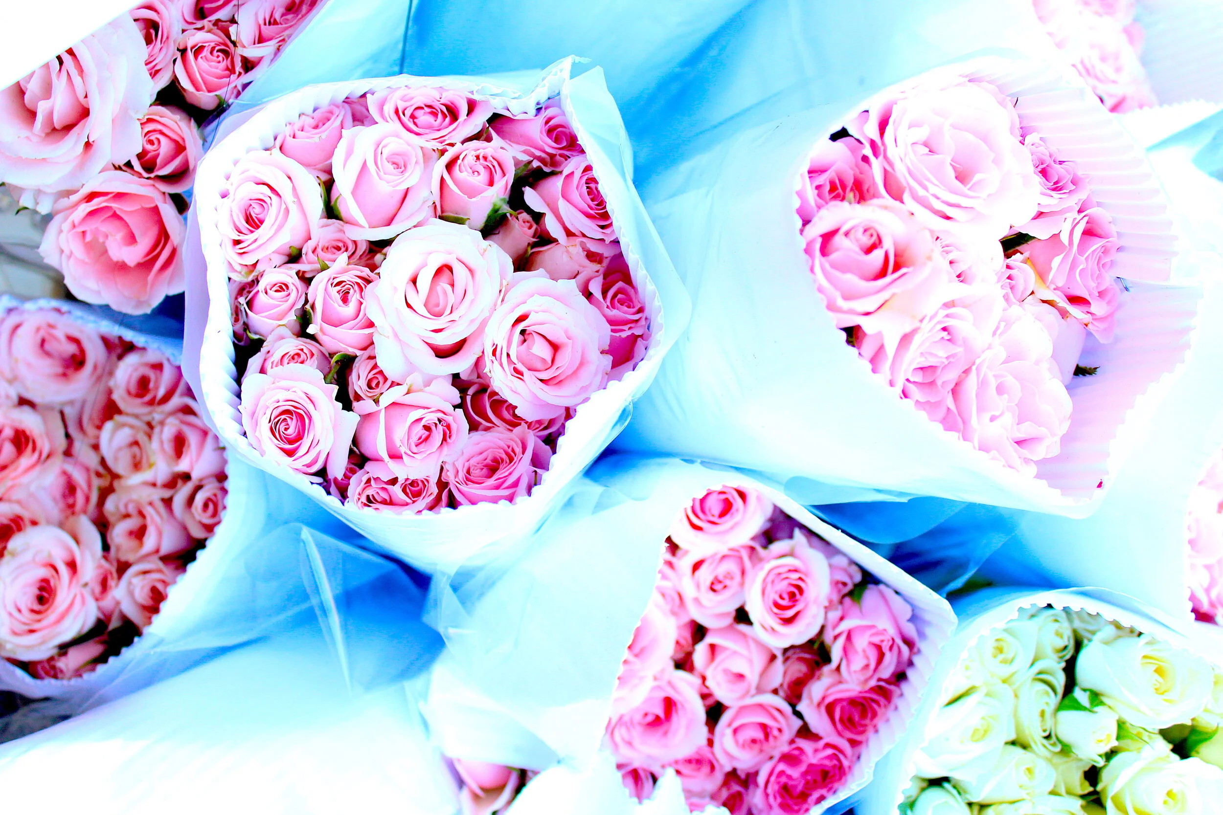 Bobby McGowan #photographer #stuntdriver #videographer #saucedistrict #blogger #fashion #bobbymcgowan street photography Jaded LA #jadedla #flowers #food #travel #perspectiveart