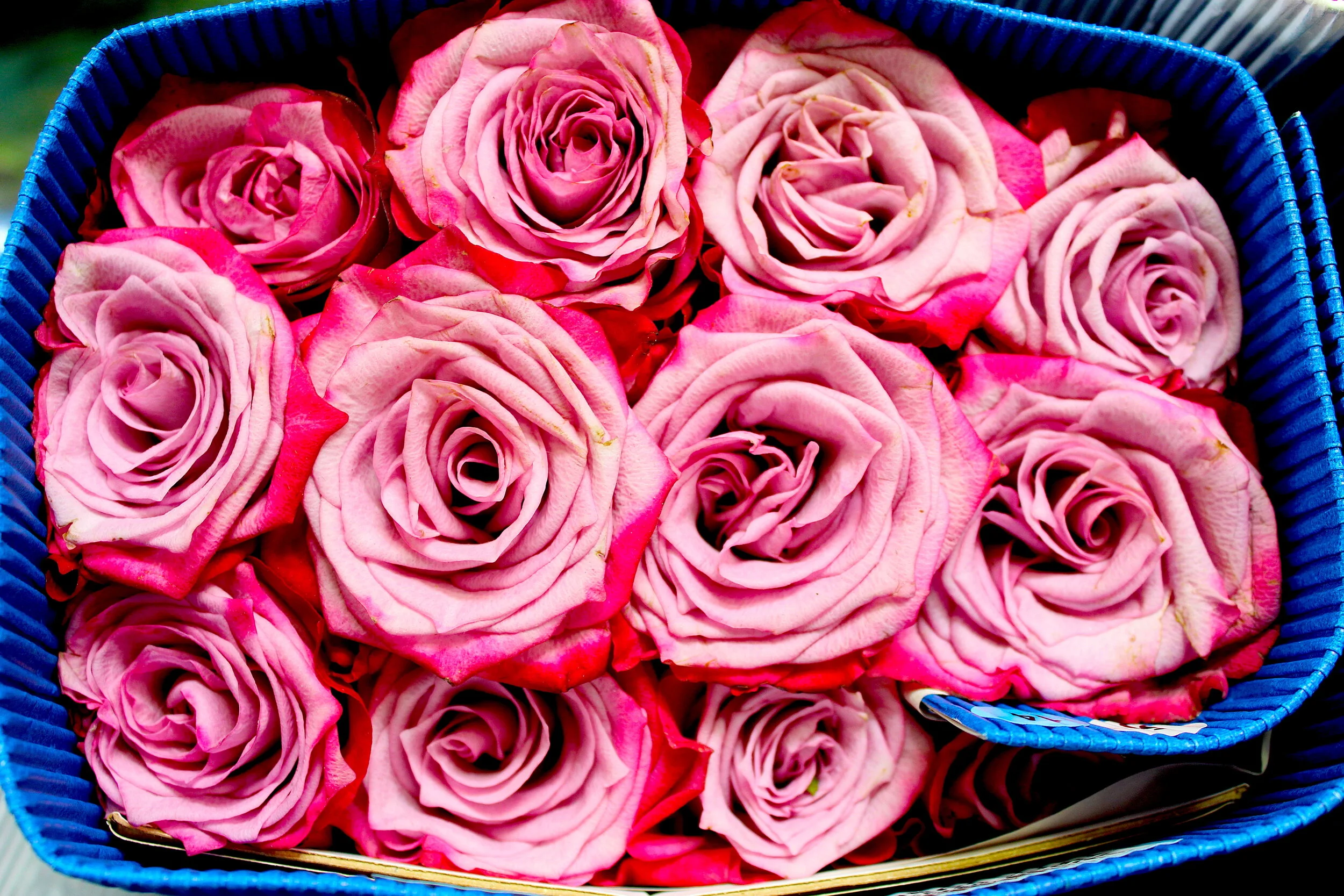 Bobby McGowan #photographer #stuntdriver #videographer #saucedistrict #blogger #fashion #bobbymcgowan street photography Jaded LA #jadedla #flowers #food #travel #perspectiveart