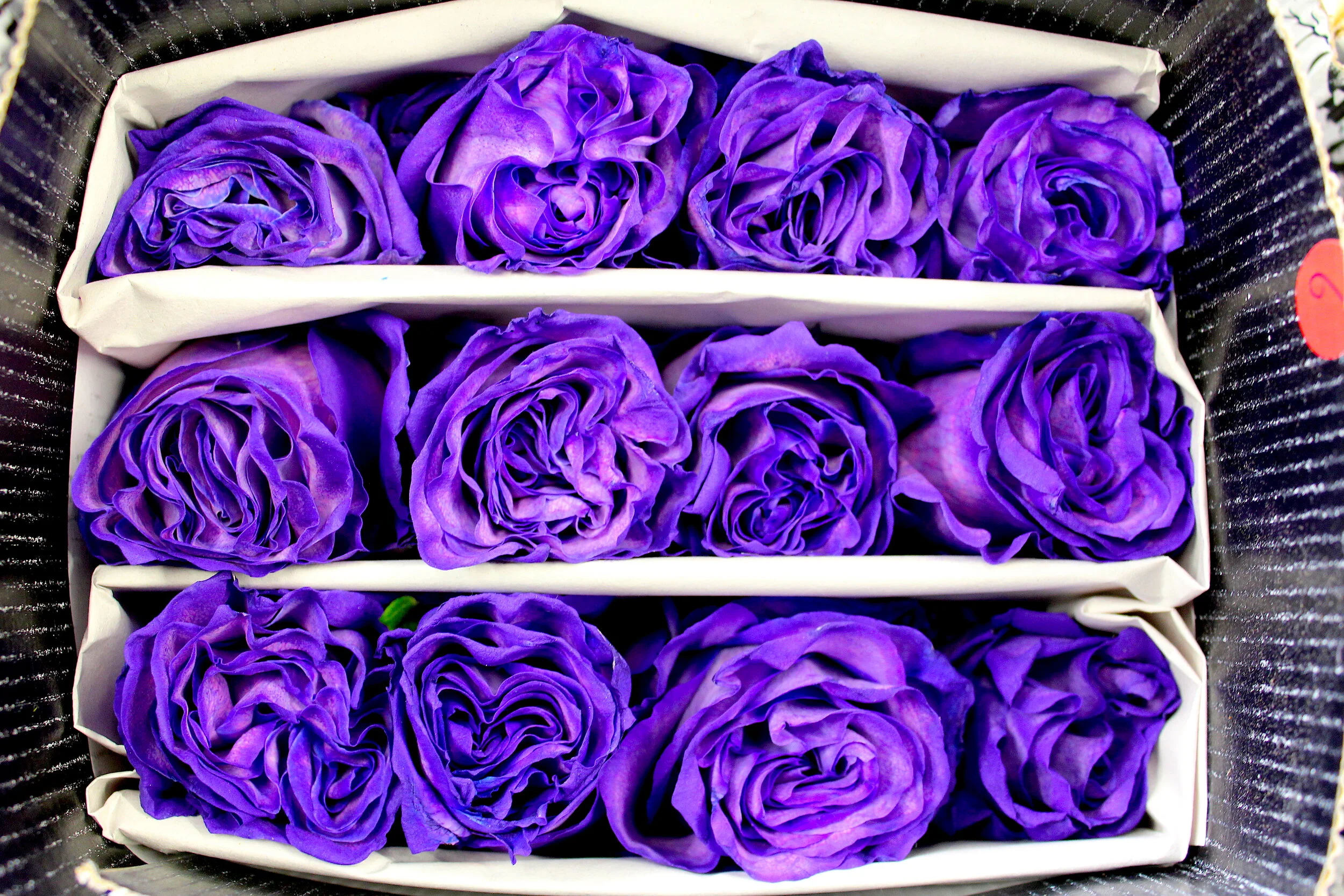 Bobby McGowan #photographer #stuntdriver #videographer #saucedistrict #blogger #fashion #bobbymcgowan street photography Jaded LA #jadedla #flowers #food #travel #perspectiveart