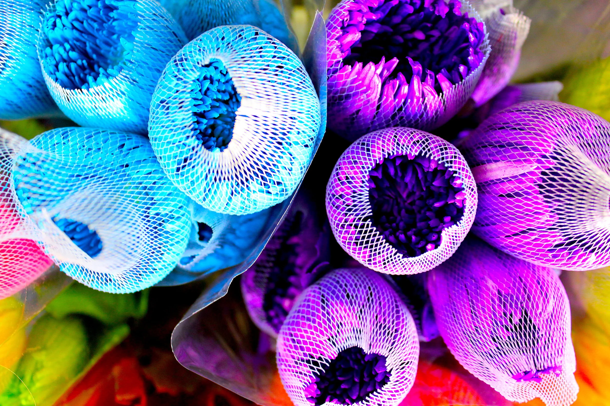 Bobby McGowan #photographer #stuntdriver #videographer #saucedistrict #blogger #fashion #bobbymcgowan street photography Jaded LA #jadedla #flowers #food #travel #perspectiveart