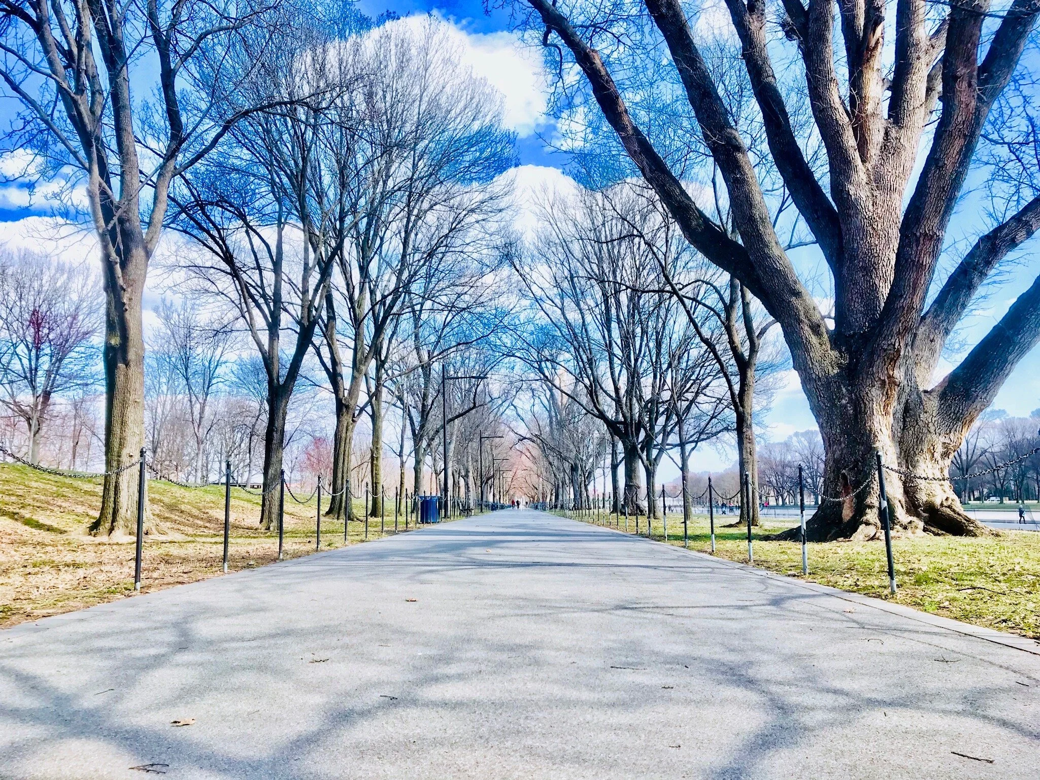Bobby McGowan #photographer #stuntdriver #videographer #saucedistrict #blogger #fashion #bobbymcgowan street photography Jaded LA #jadedla #flowers #food #travel