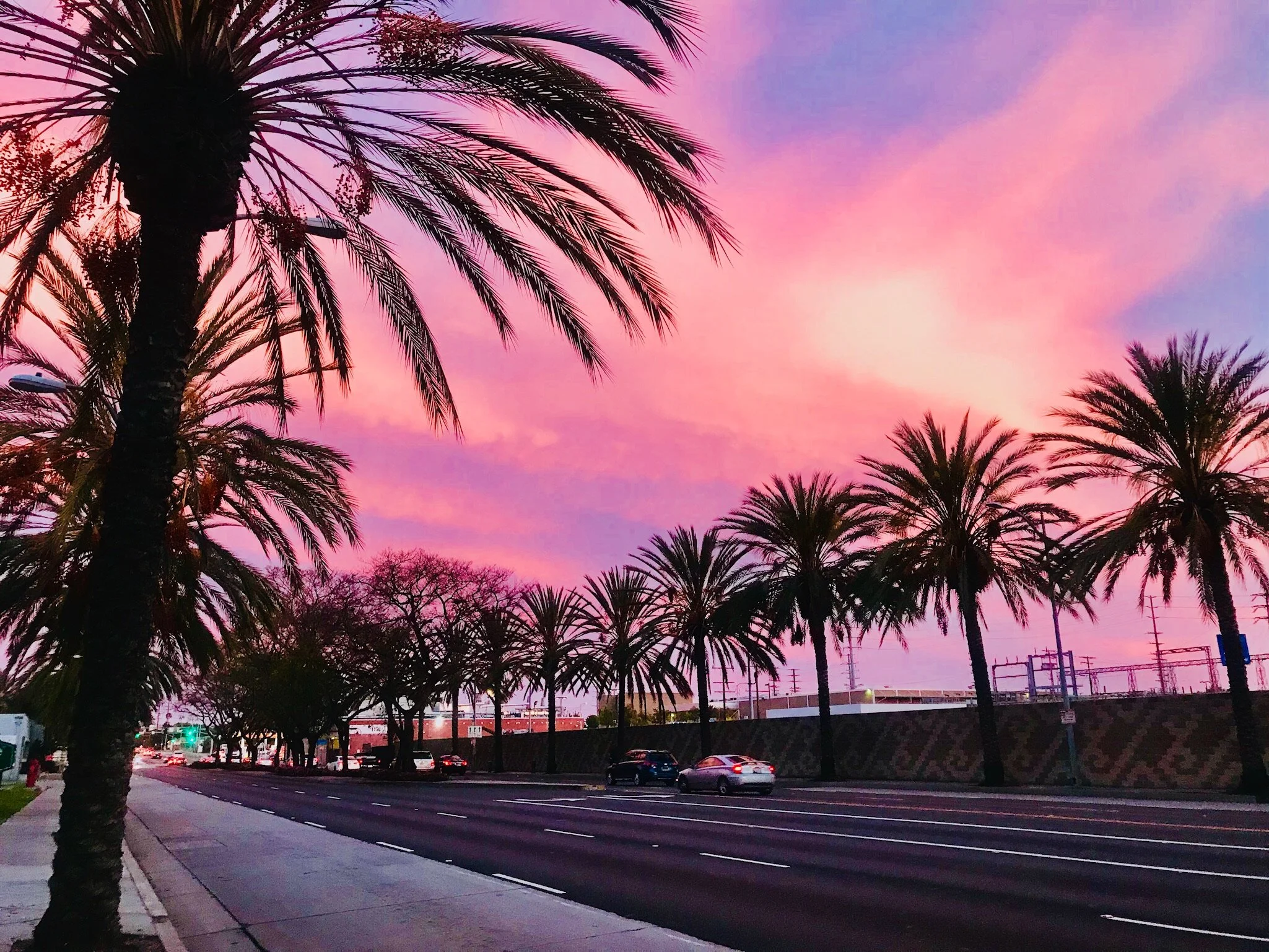 Bobby McGowan #photographer #stuntdriver #videographer #saucedistrict #blogger #fashion #bobbymcgowan street photography Jaded LA #jadedla #flowers #food #travel