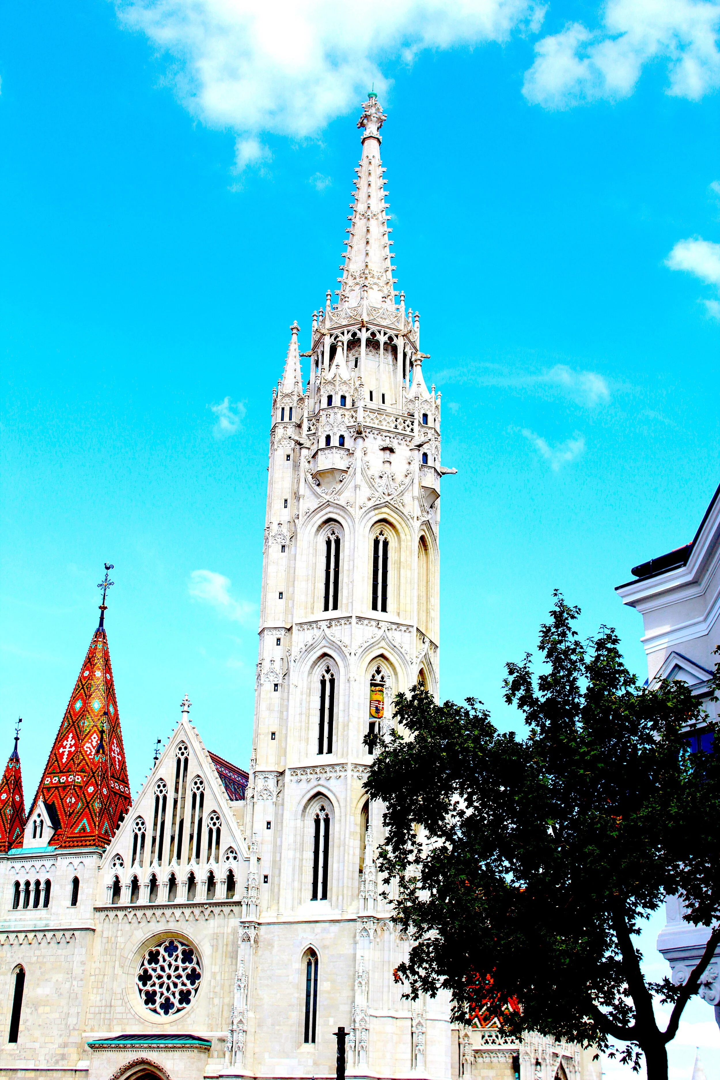 Bobby McGowan #photographer #stuntdriver #videographer #saucedistrict #blogger #fashion #bobbymcgowan street photography Jaded LA #jadedla #flowers #food #travel