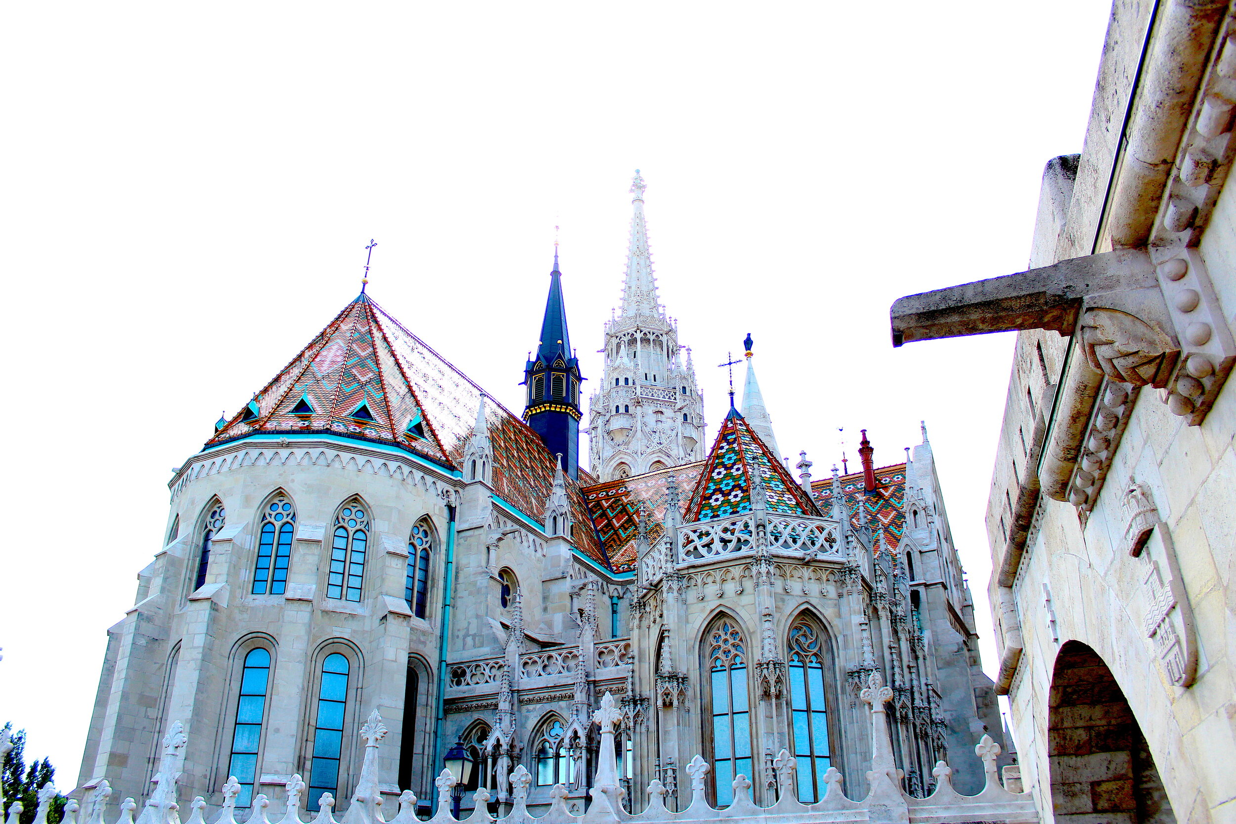 Bobby McGowan #photographer #stuntdriver #videographer #saucedistrict #blogger #fashion #bobbymcgowan street photography Jaded LA #jadedla #flowers #food #travel #perspectiveart