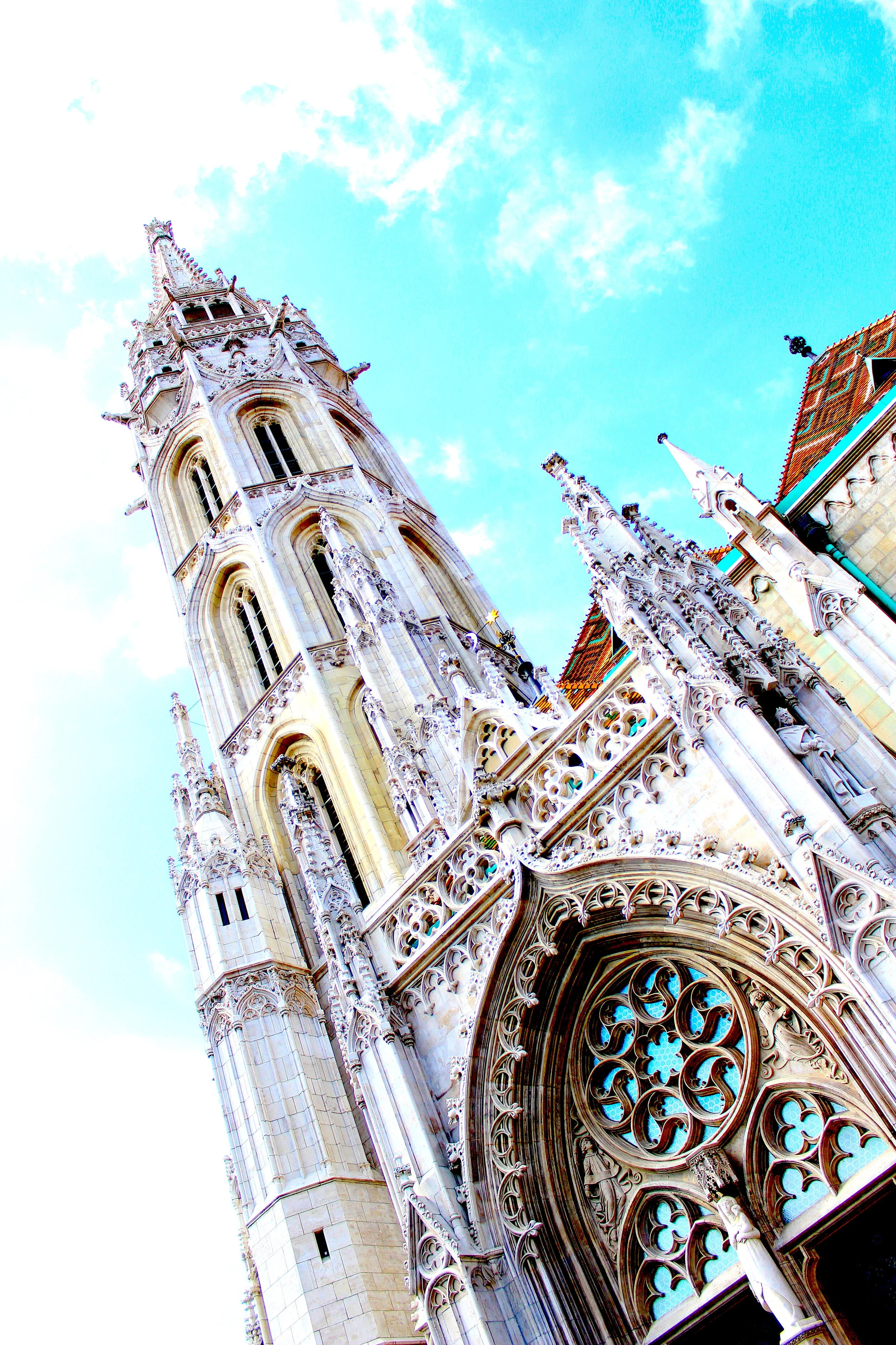 Bobby McGowan #photographer #stuntdriver #videographer #saucedistrict #blogger #fashion #bobbymcgowan street photography Jaded LA #jadedla #flowers #food #travel #perspectiveart