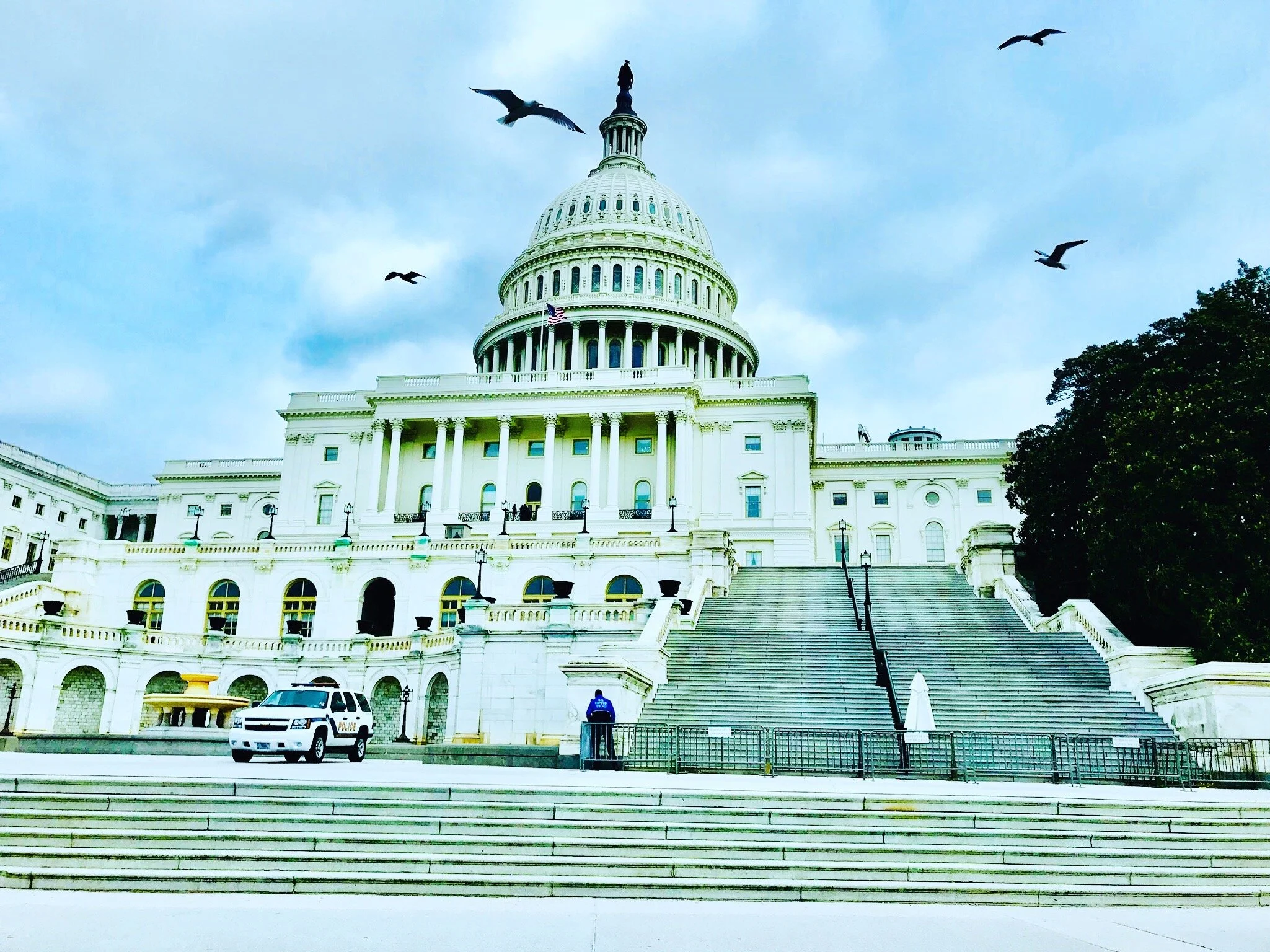 Bobby McGowan #photographer #stuntdriver #videographer #saucedistrict #blogger #fashion #bobbymcgowan street photography Jaded LA #jadedla #flowers #food