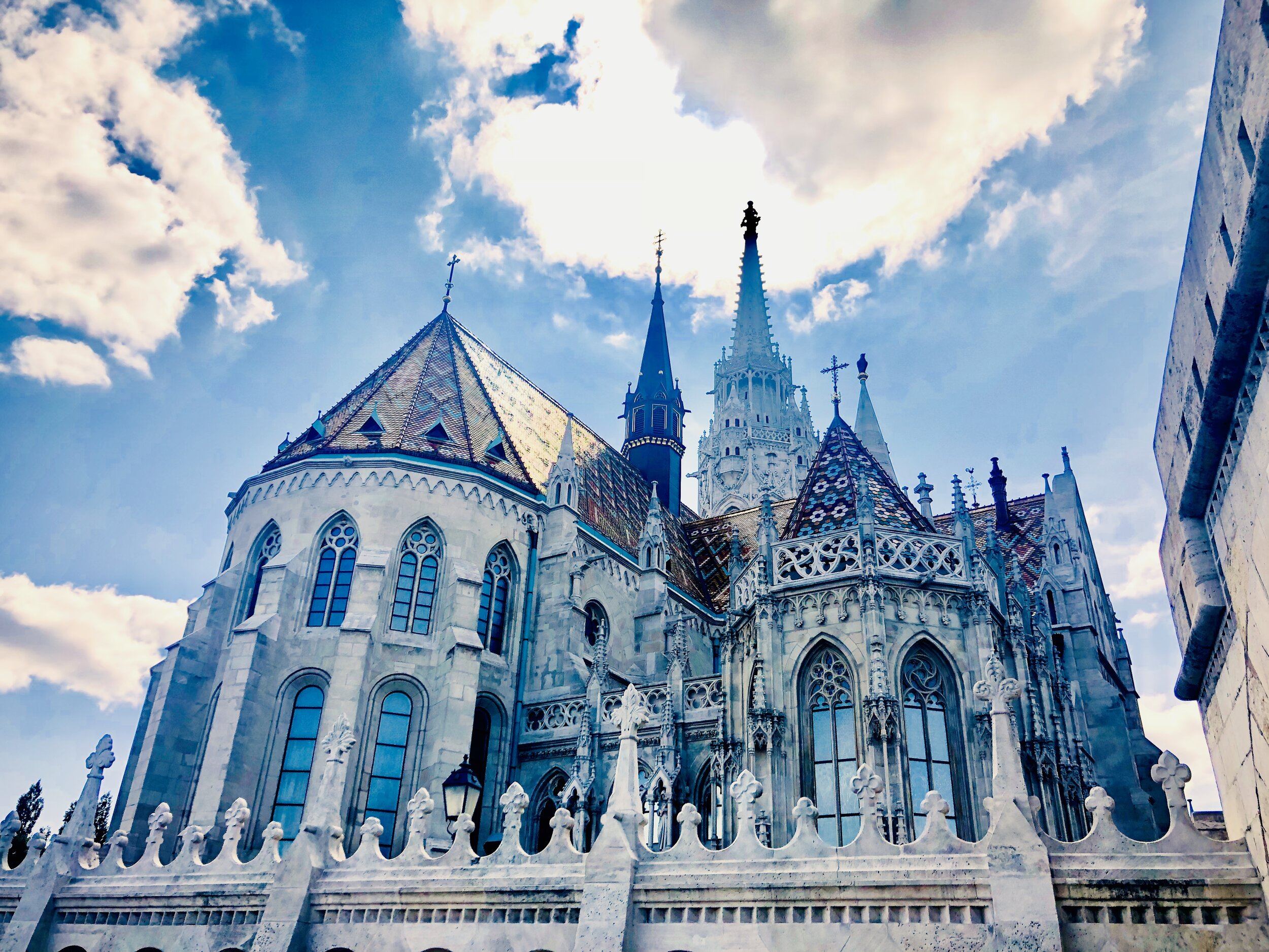 Bobby McGowan #photographer #stuntdriver #videographer #saucedistrict #blogger #fashion #bobbymcgowan street photography Jaded LA #jadedla #flowers #food