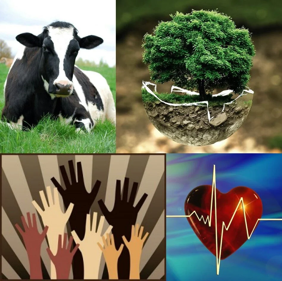 Why AnimalsEnvironmentHealthJustice.jpg