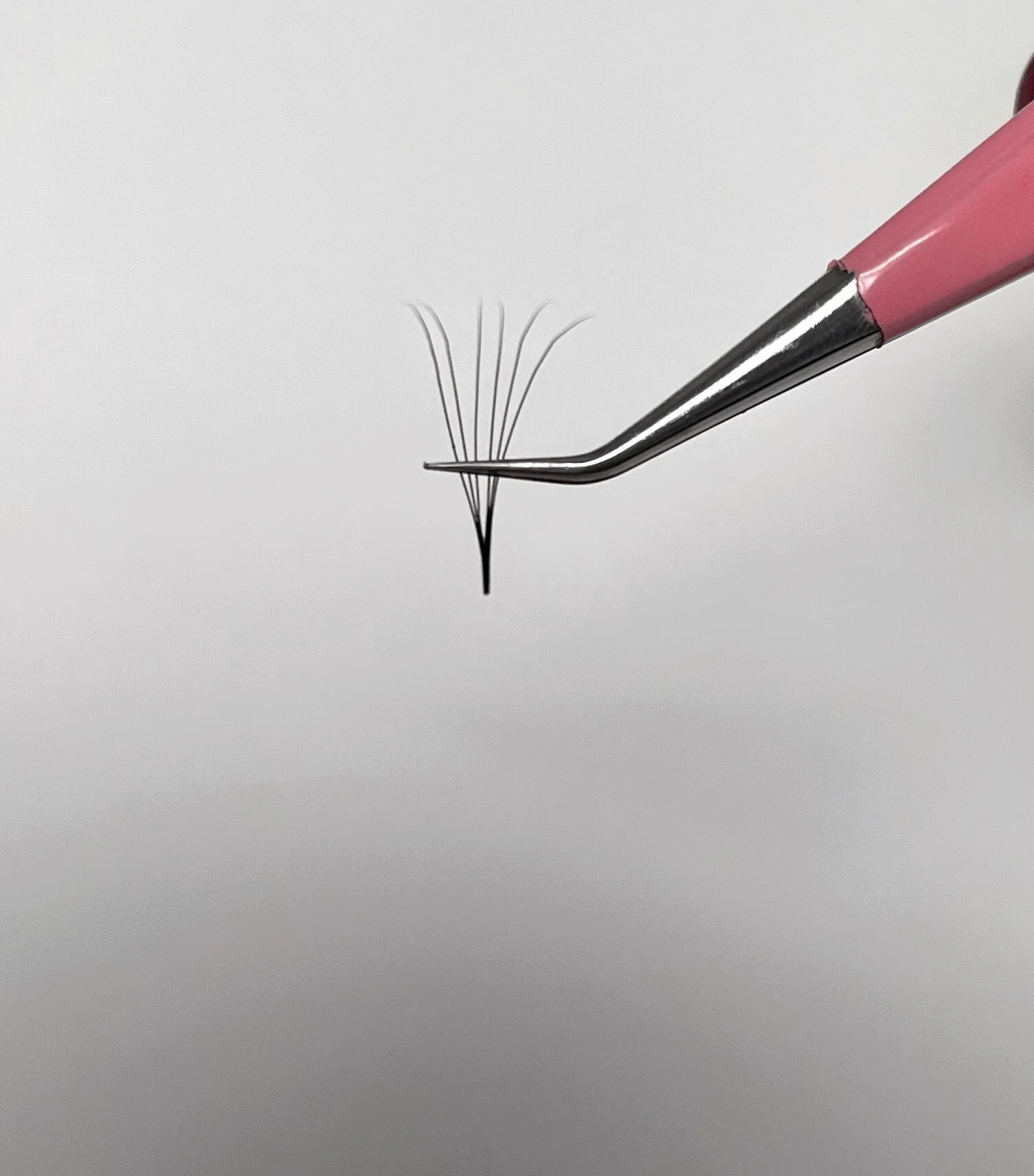 2736D12E-2397-45D7-B614-D35287562E2B