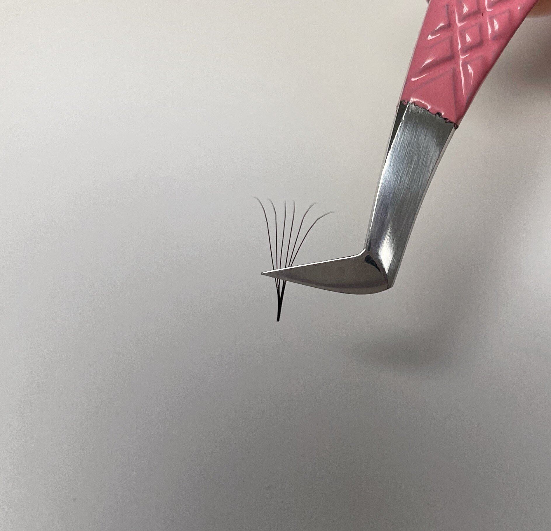 2C723F28-28FB-48F5-8F4A-284F393895AC