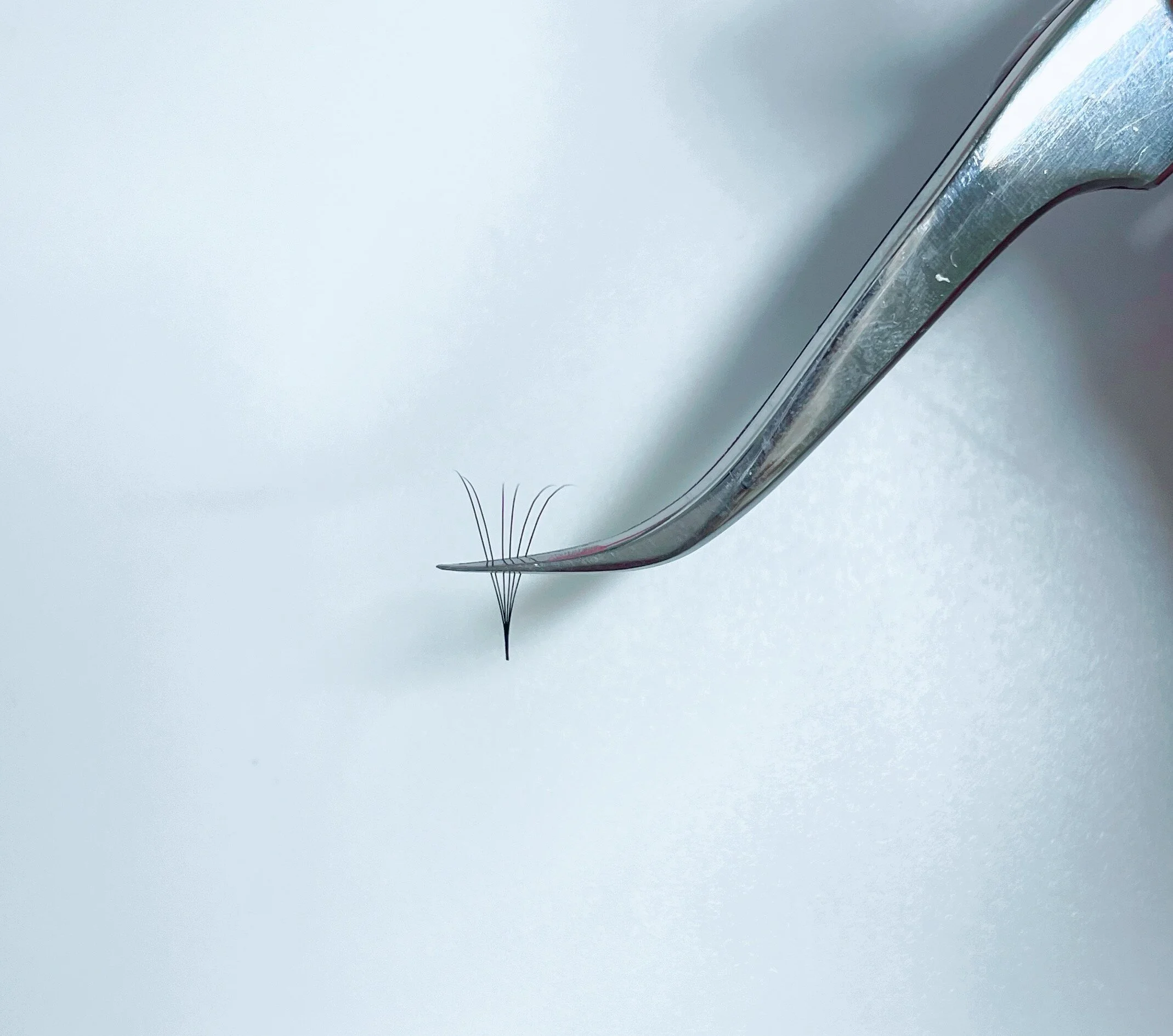 AC8A5CB9-A5D4-4F2F-89DB-5B3EBBB7C9D7