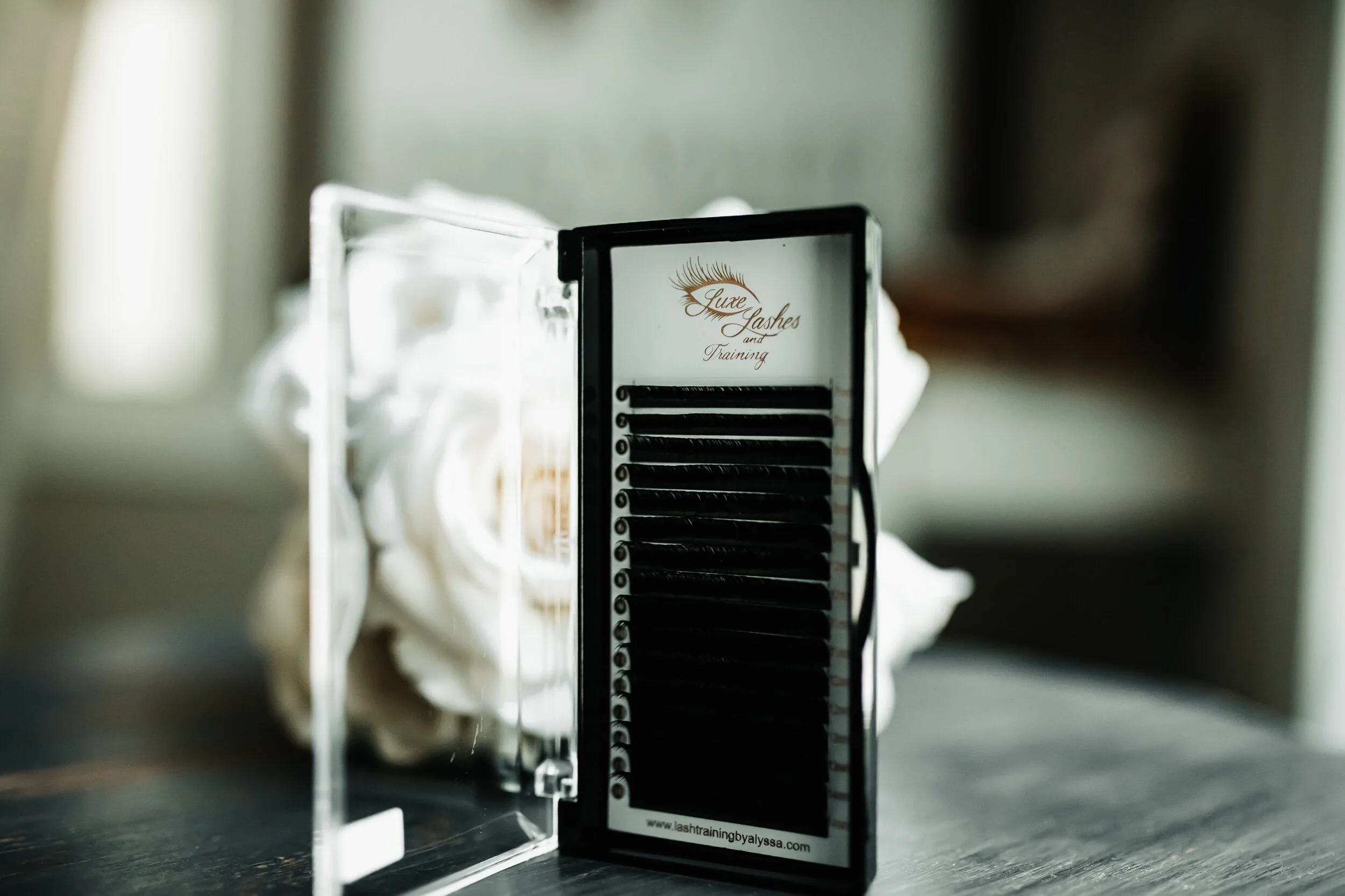 3C80433D-DE2C-4770-A711-CB4DAC9D4BF2