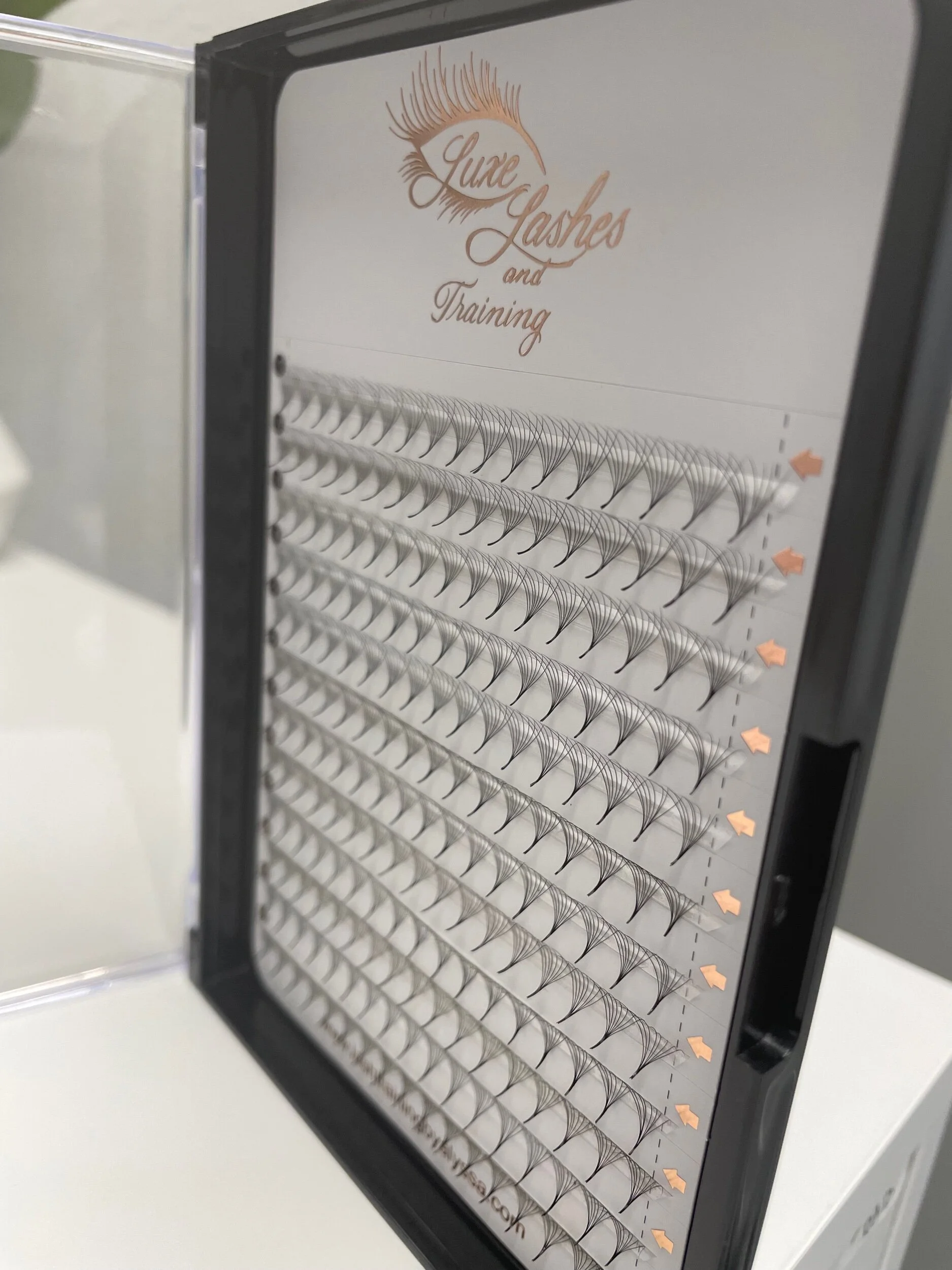 CE00BD27-5896-4987-BD73-6531A13CF052