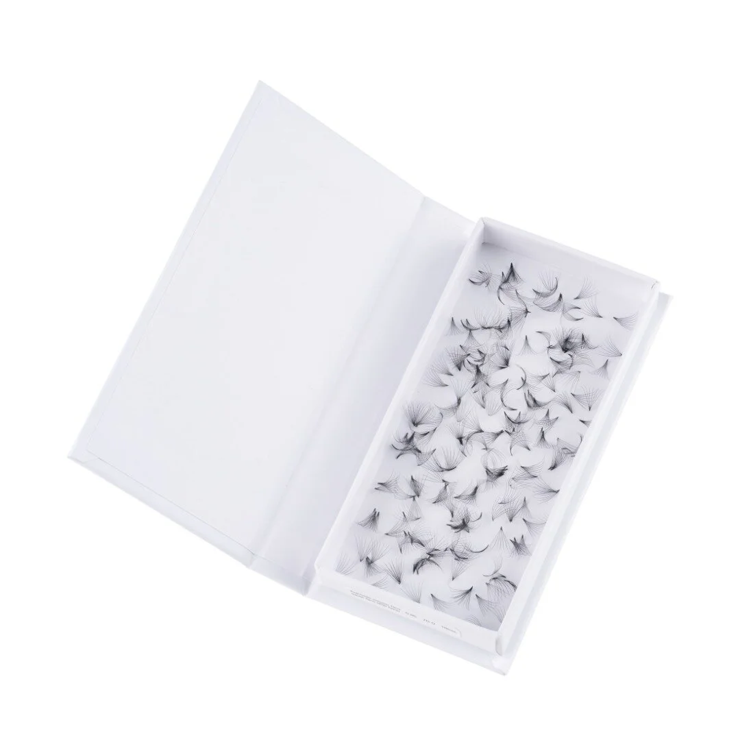 076C6BE5-6323-423D-9F0E-1F8FC632FD4C