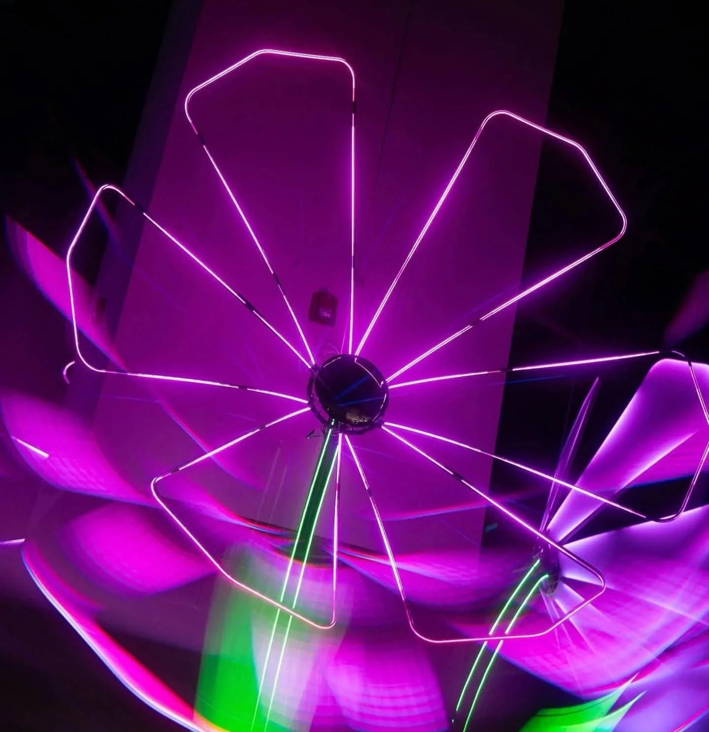 Close-up of a LED-lit flower-shaped art installation at night, with purple, pink, and green lights.