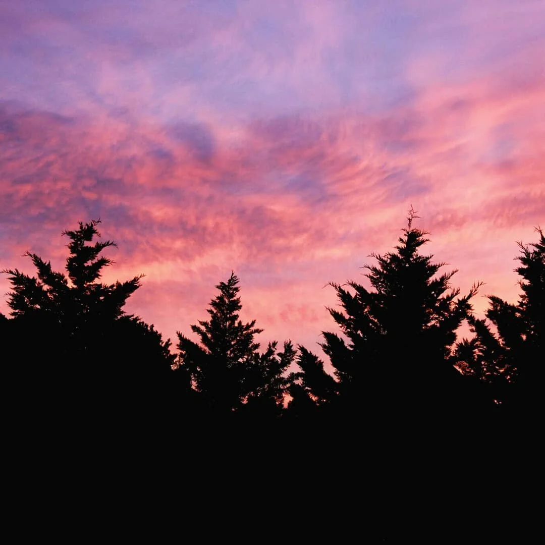 📷: Kevin
&middot;
&middot;
&middot;
#nature #naturephotography #photography #sky #clouds #trees
