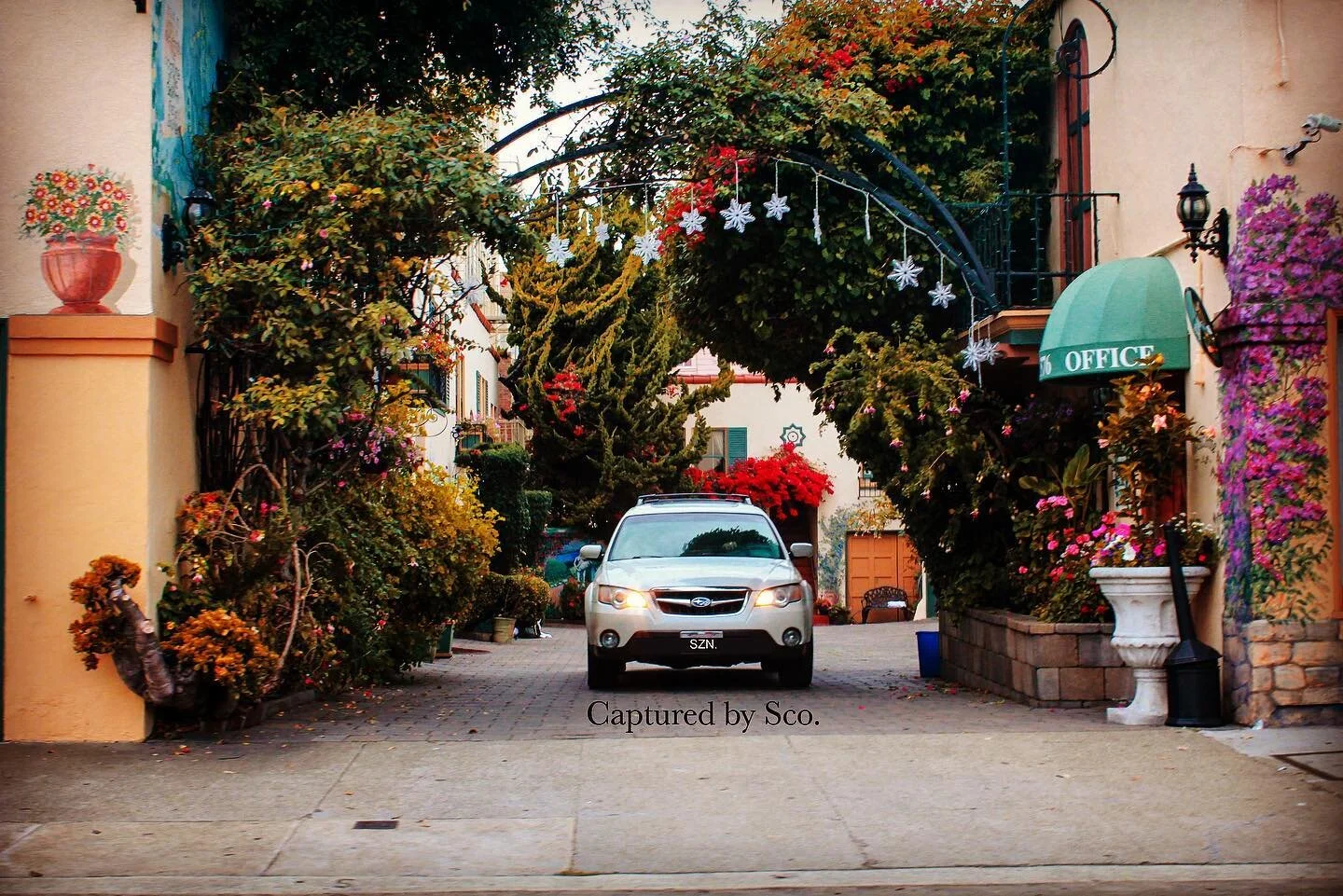 📸 in San Francisco, A nice way to allow nature to compliment ones home. Just wish it was the other way around! #photography #california #sanfrancisco #architecturephotography #architecture #nature #flowers #subaru #forrester