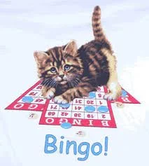 Bingo at Yellow Cab Tavern