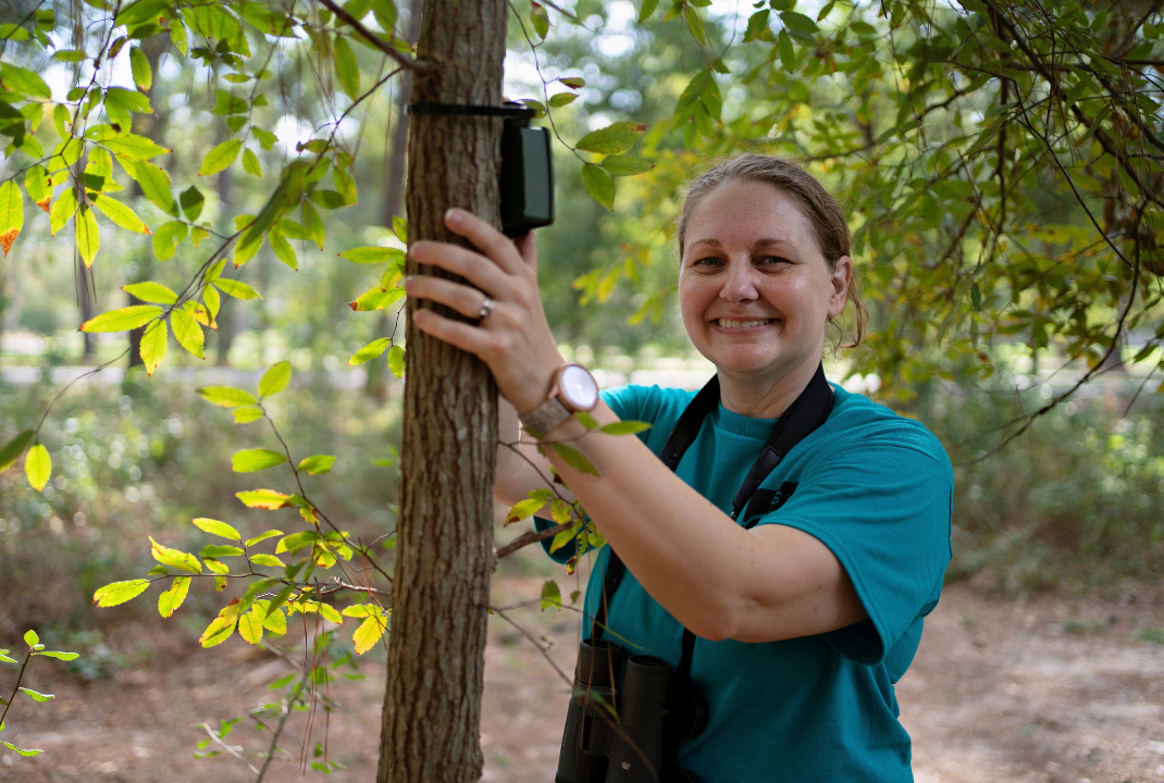 ‘What I cared about all along’: How Researcher Bonnie Flint’s interdisciplinary background led her to wild animal welfare
