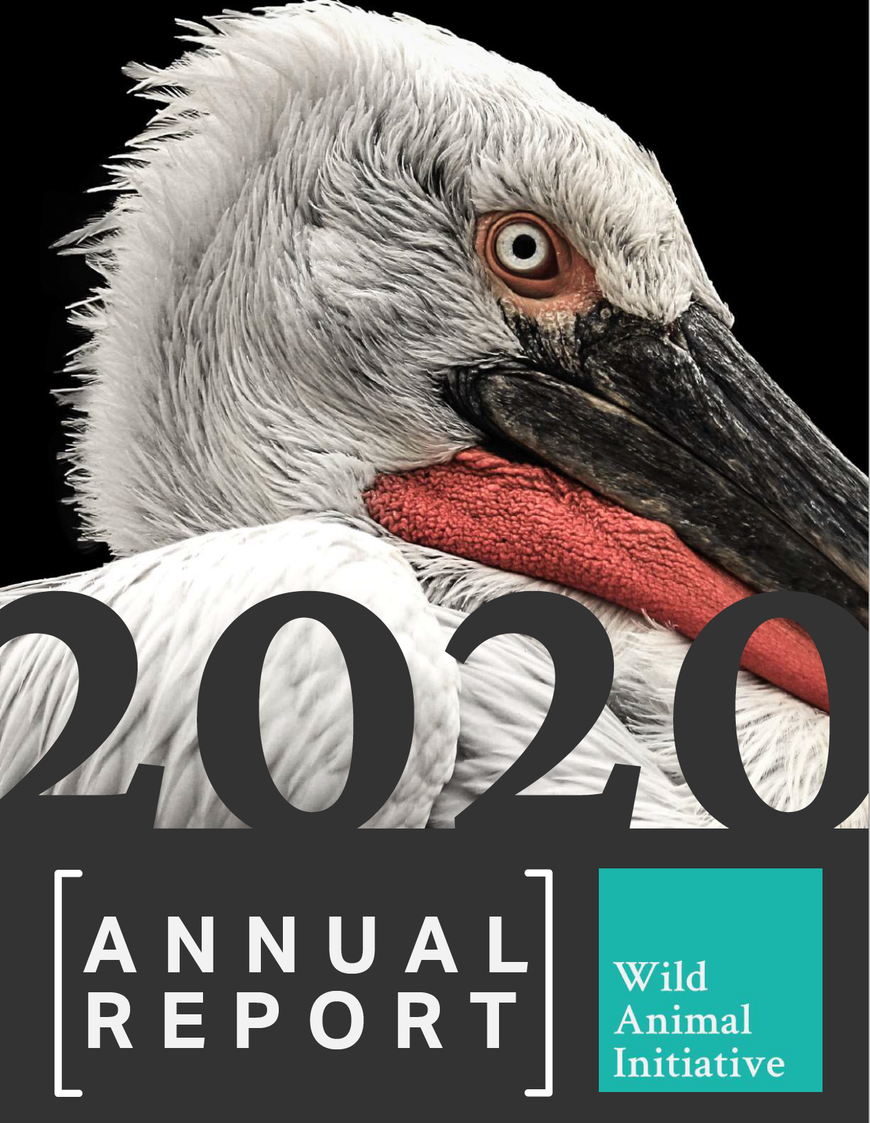 Transparency — Wild Animal Initiative Transparency — Wild Animal Initiative