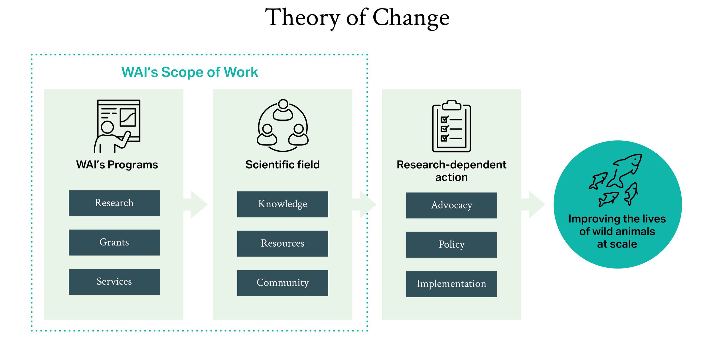 Horizonta flowchart of WAI's Theory of Change: 1. Our Programs (Research, Grants, Services) help build 2. The Scientific field, which drives 3. Research-dependent action like advocacy and policy—leading to 4. Improved lives for wild animals at scale.