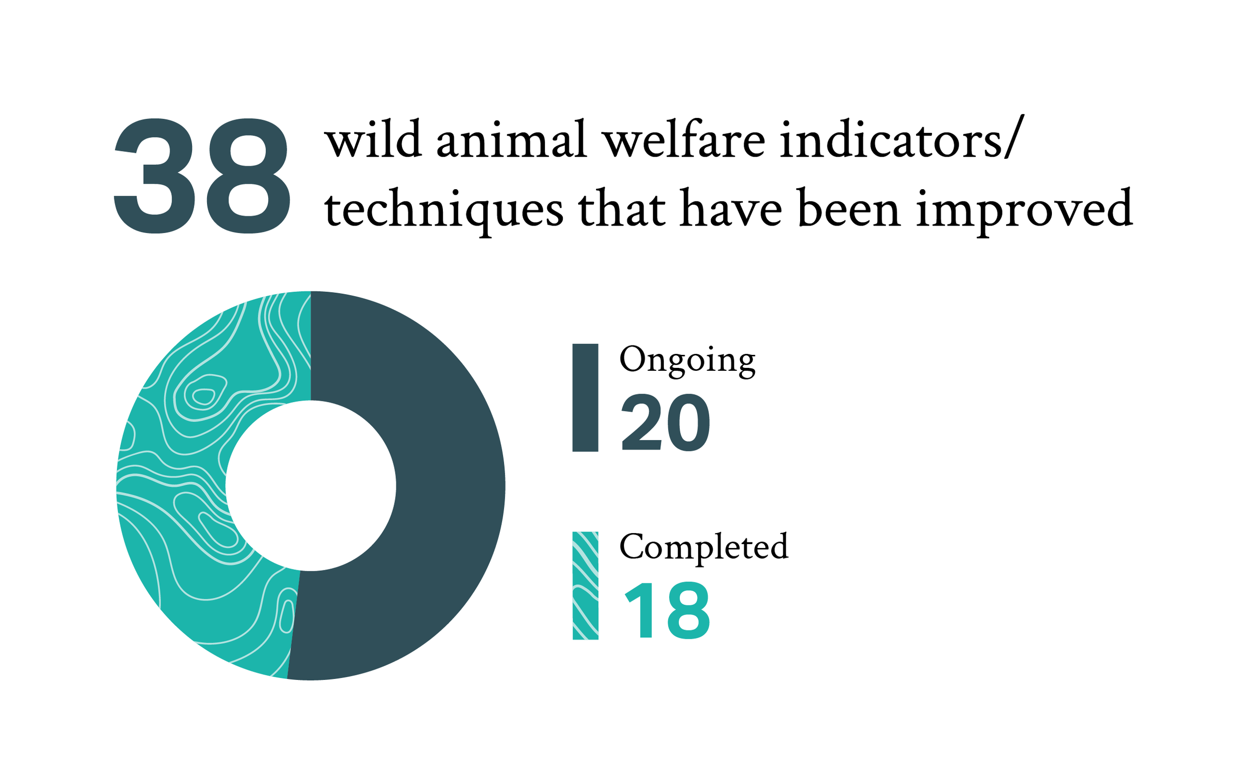 Donut chart showing 38 wild animal welfare indicators/techniques that have been improved. The chart displays 20 ongoing (dark teal, majority of circle) and 18 completed (light teal, nearly half the circle).