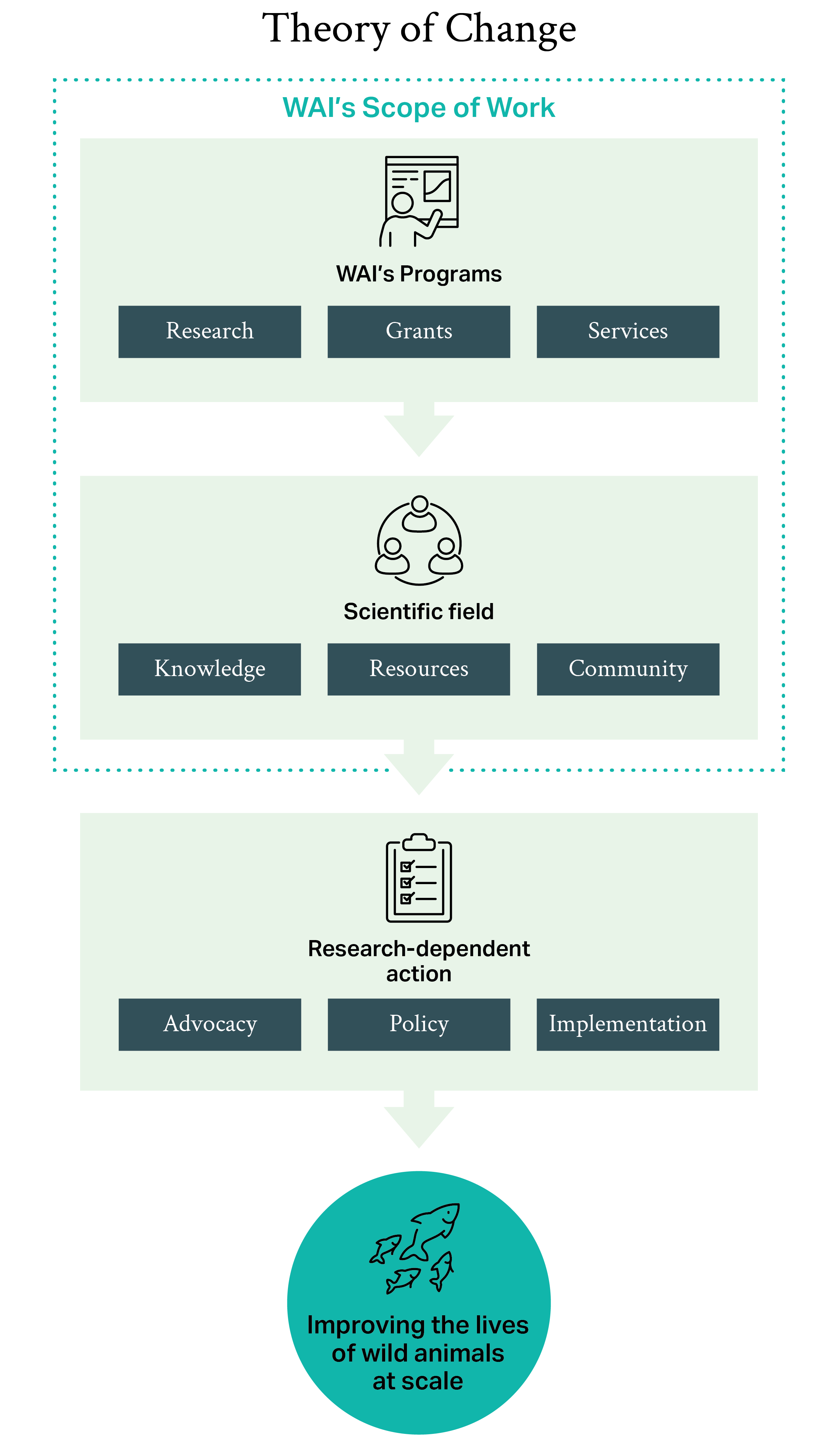 Vertical flowchart of WAI's Theory of Change: 1. Our Programs (Research, Grants, Services) help build 2. The Scientific field, which drives 3. Research-dependent action like advocacy and policy—leading to 4. Improved lives for wild animals at scale.