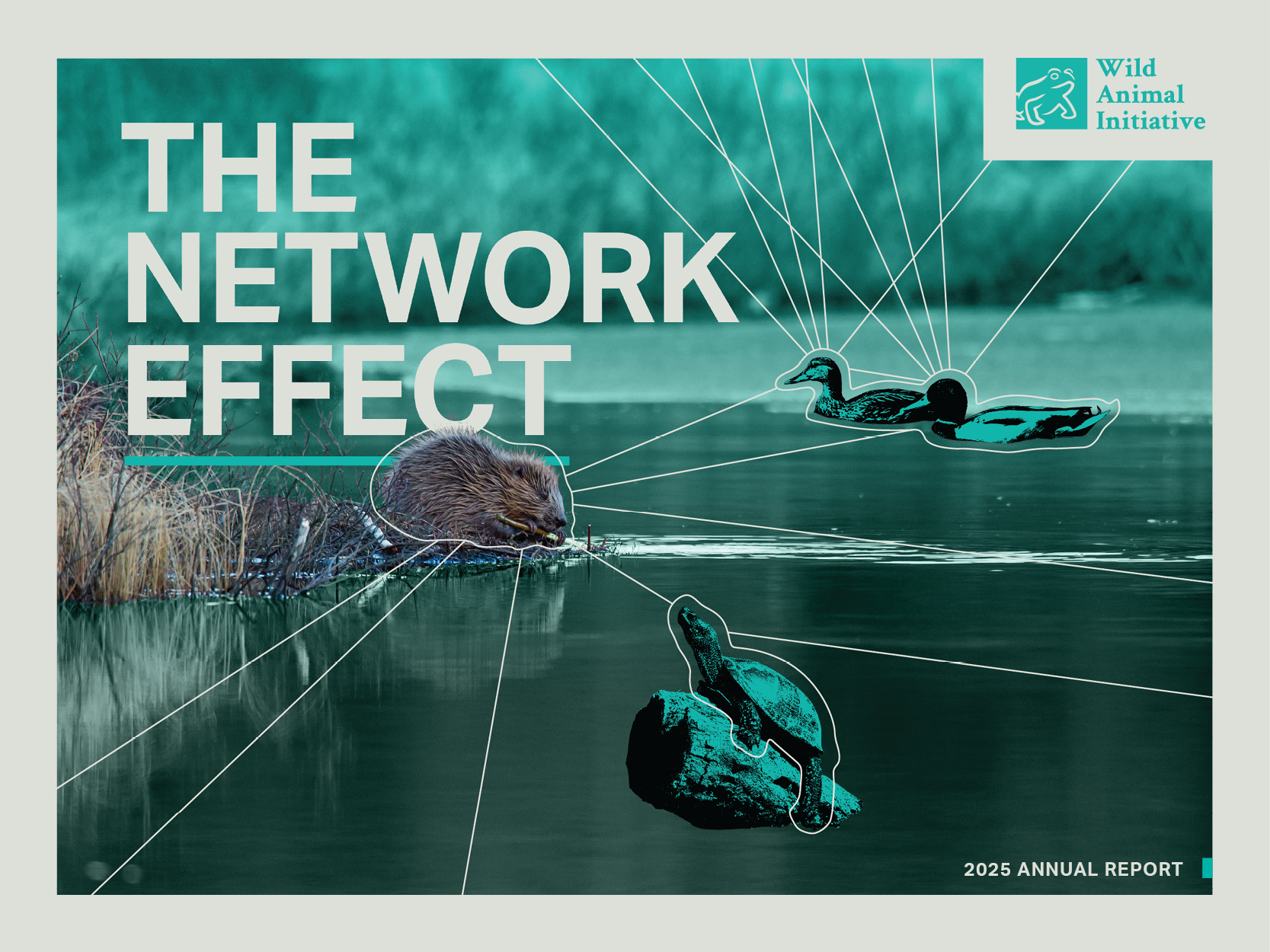2025 Annual Report Cover