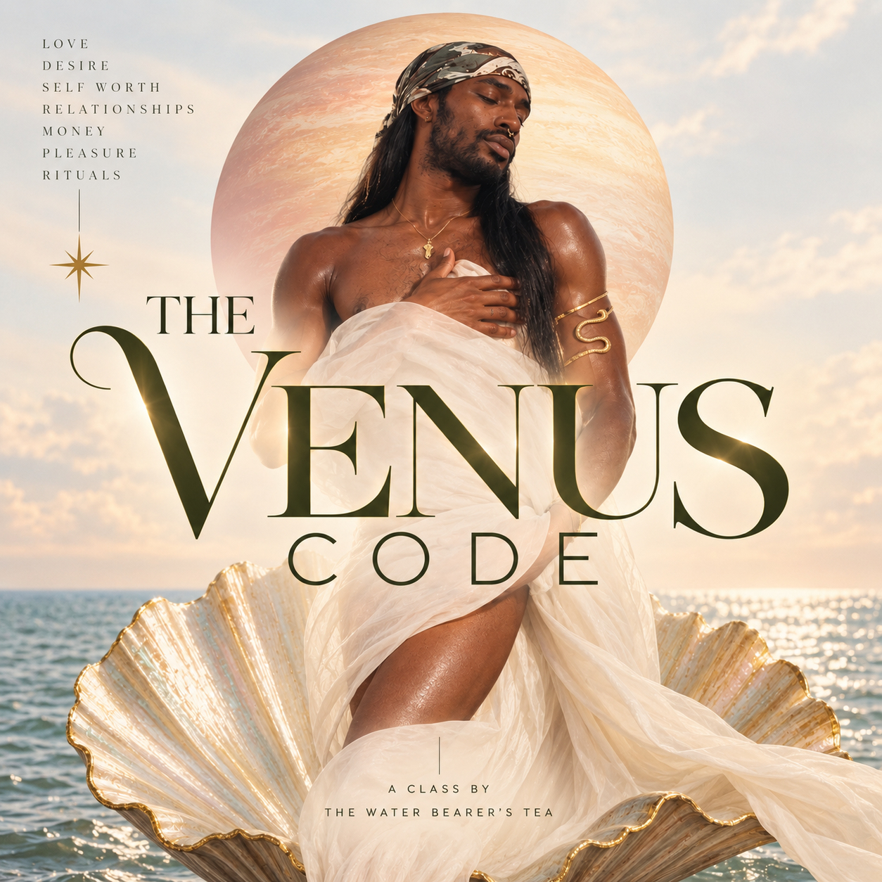 THE VENUS CODE! Master Abundance, Self-Worth and Magnetism.™️