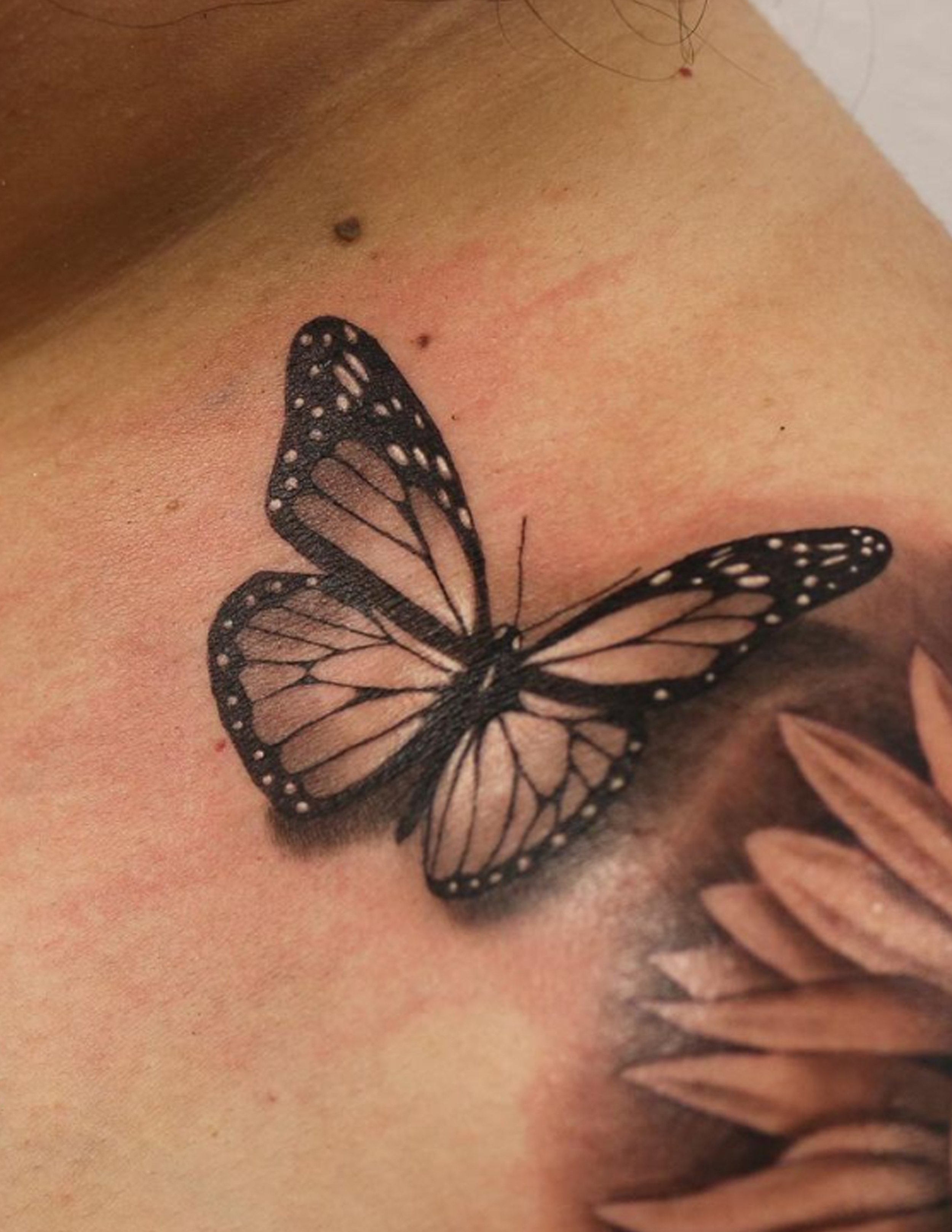 butterfly_01.jpg