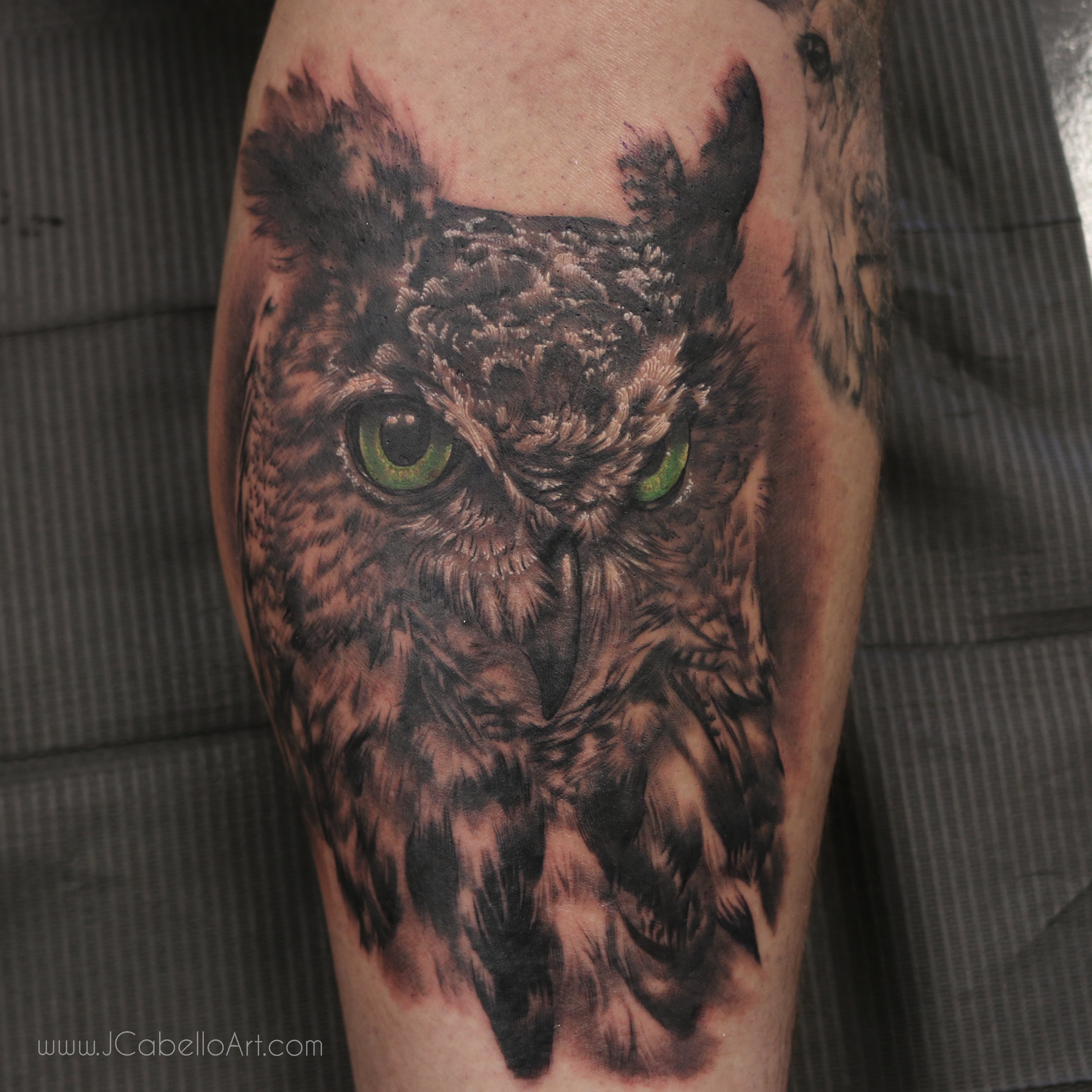 owl_01.png