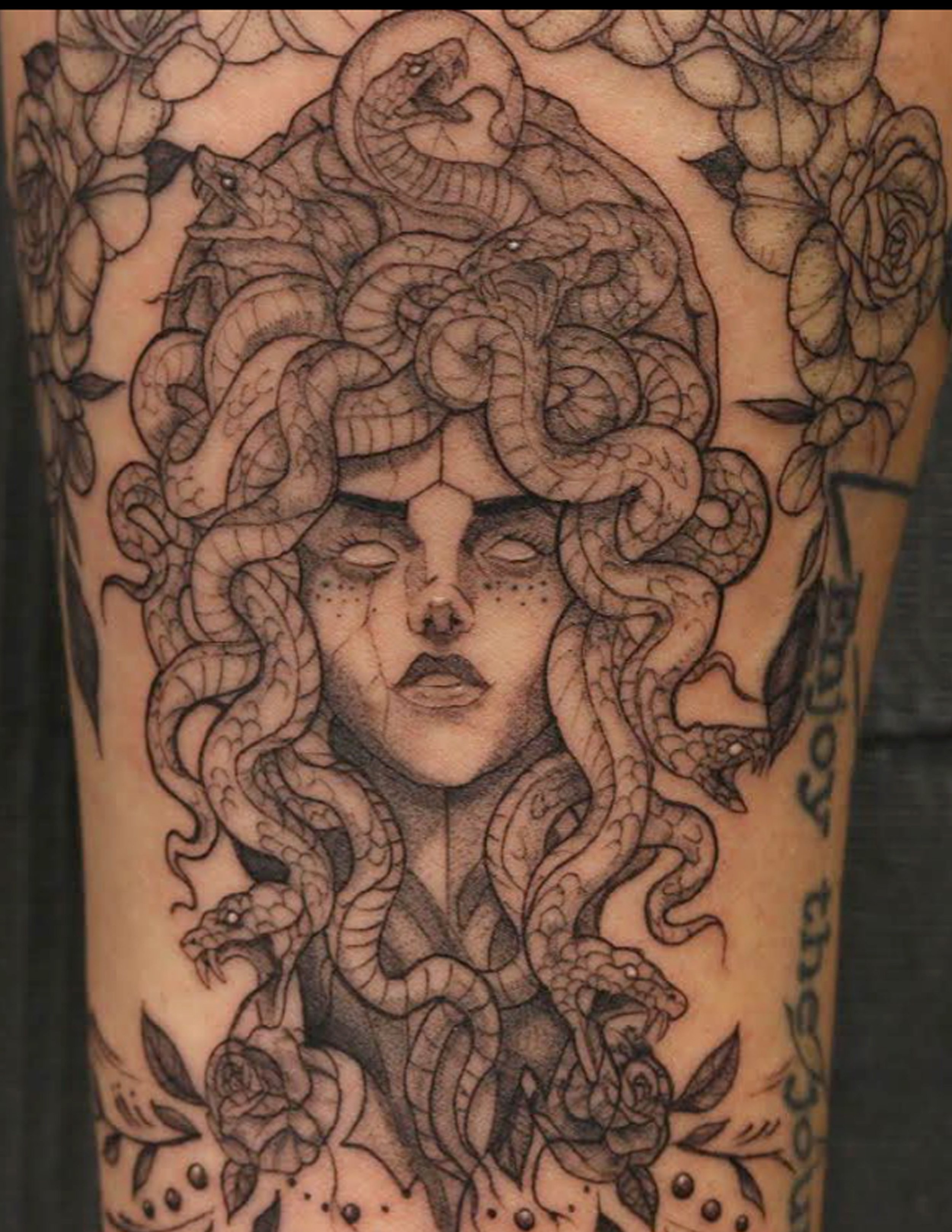medusa_01.jpg