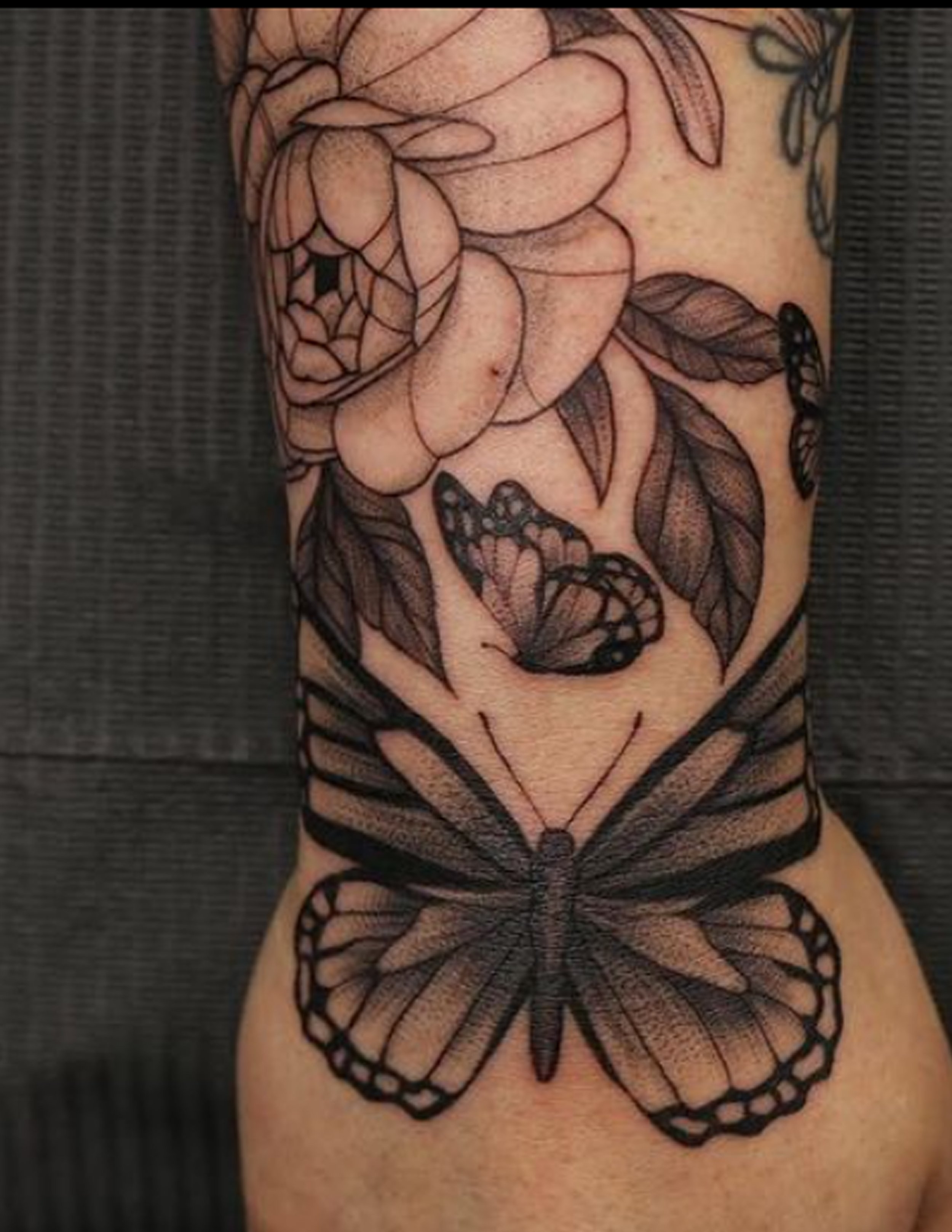 butterfly_01.jpg