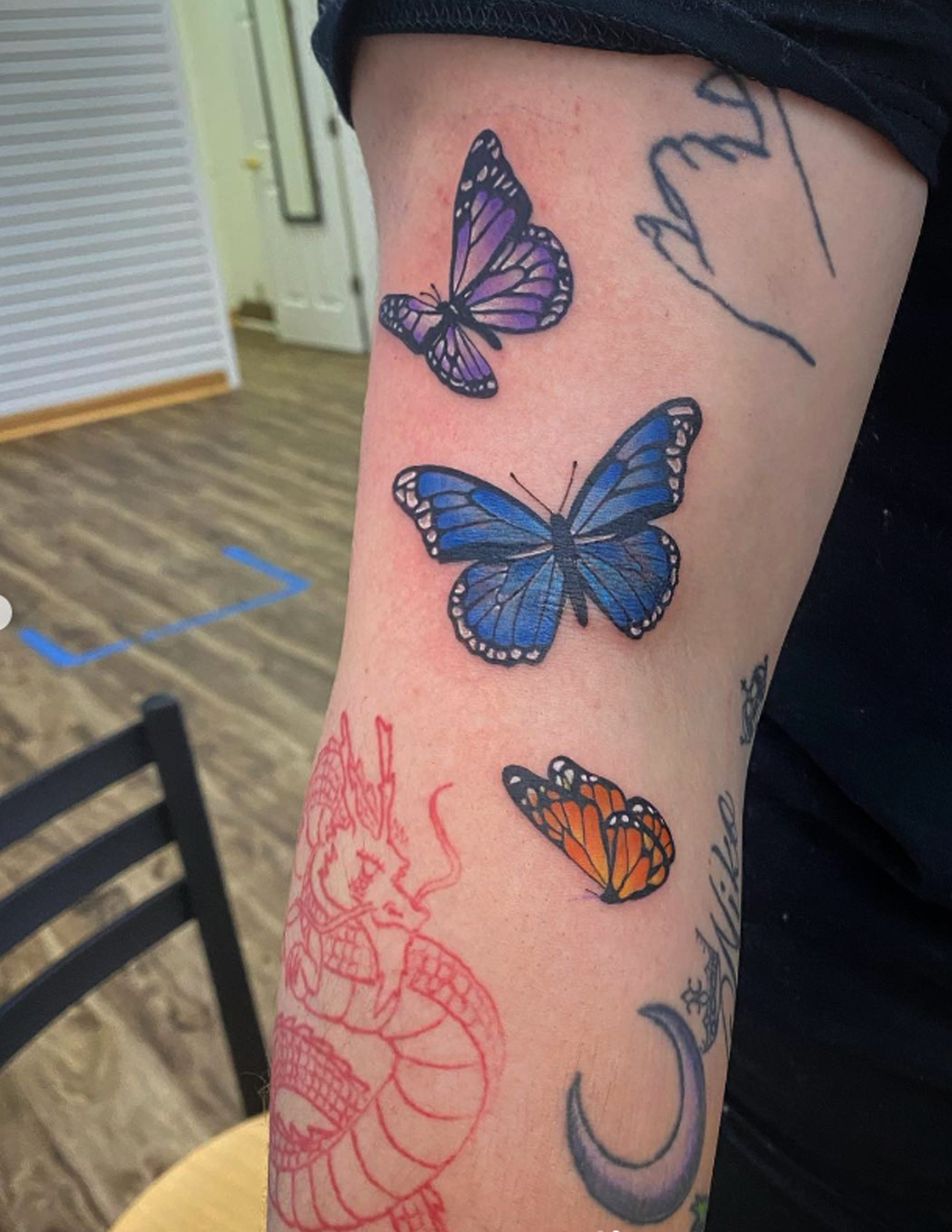 butterfly_02.jpg