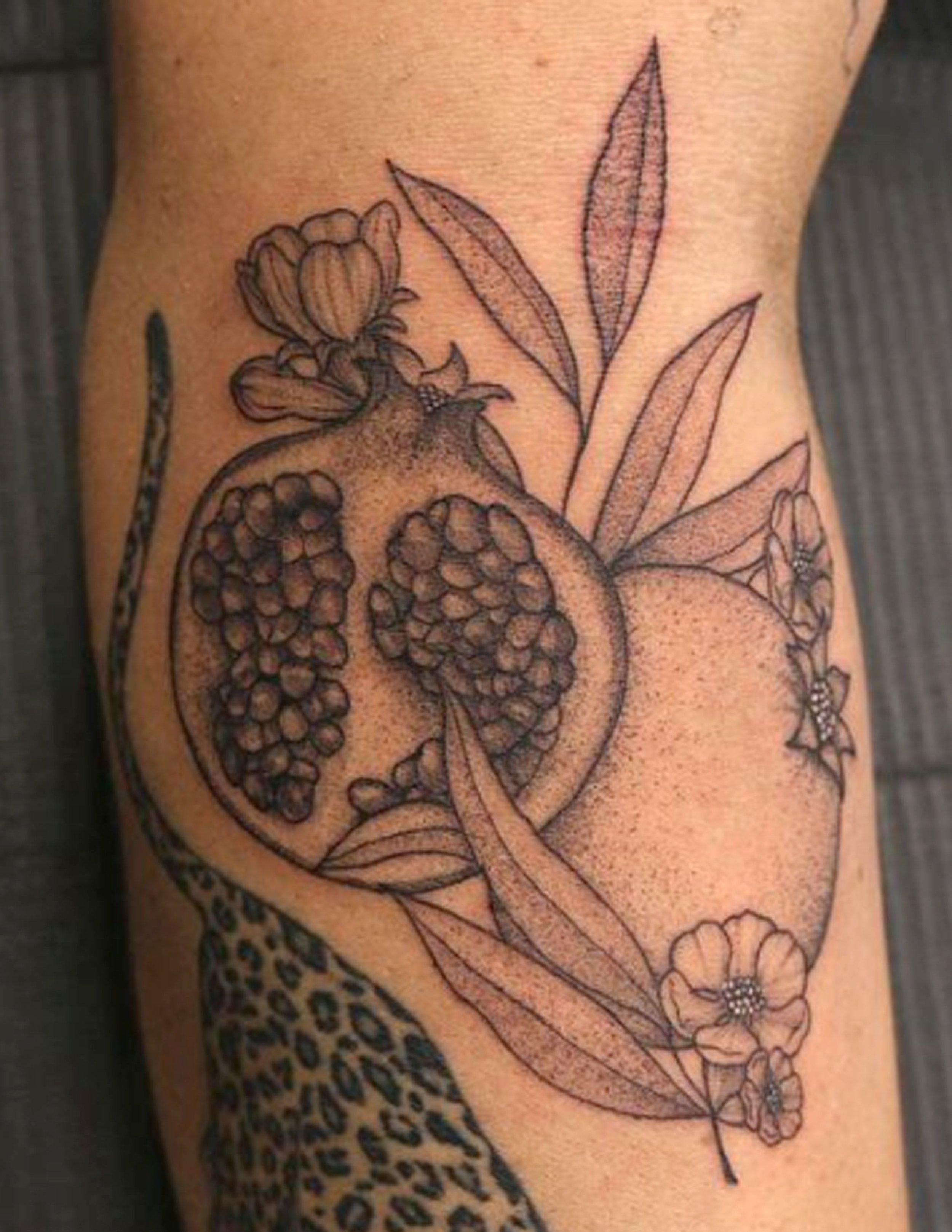 pomegranate_01.jpg