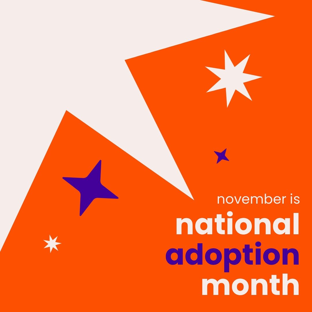 November is National Adoption Month, a time to celebrate the families built through love, commitment, and community. 

At Citrus Family vCare Network, we&rsquo;re honored to stand alongside the children, youth, caregivers, and advocates who make fore