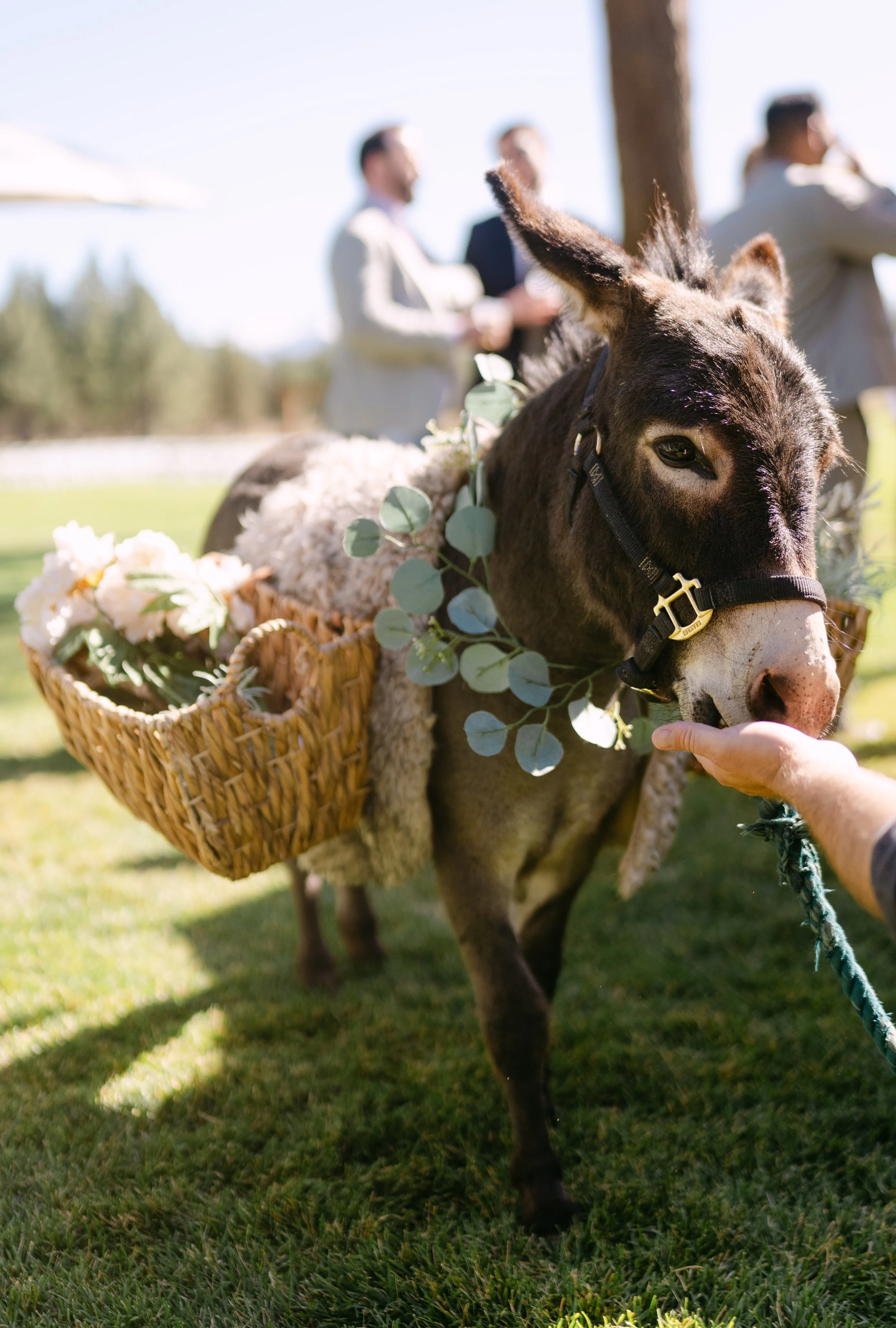 nwfilmco-taylorandbrandon-wedding-cocktailhour-4 (1).jpg