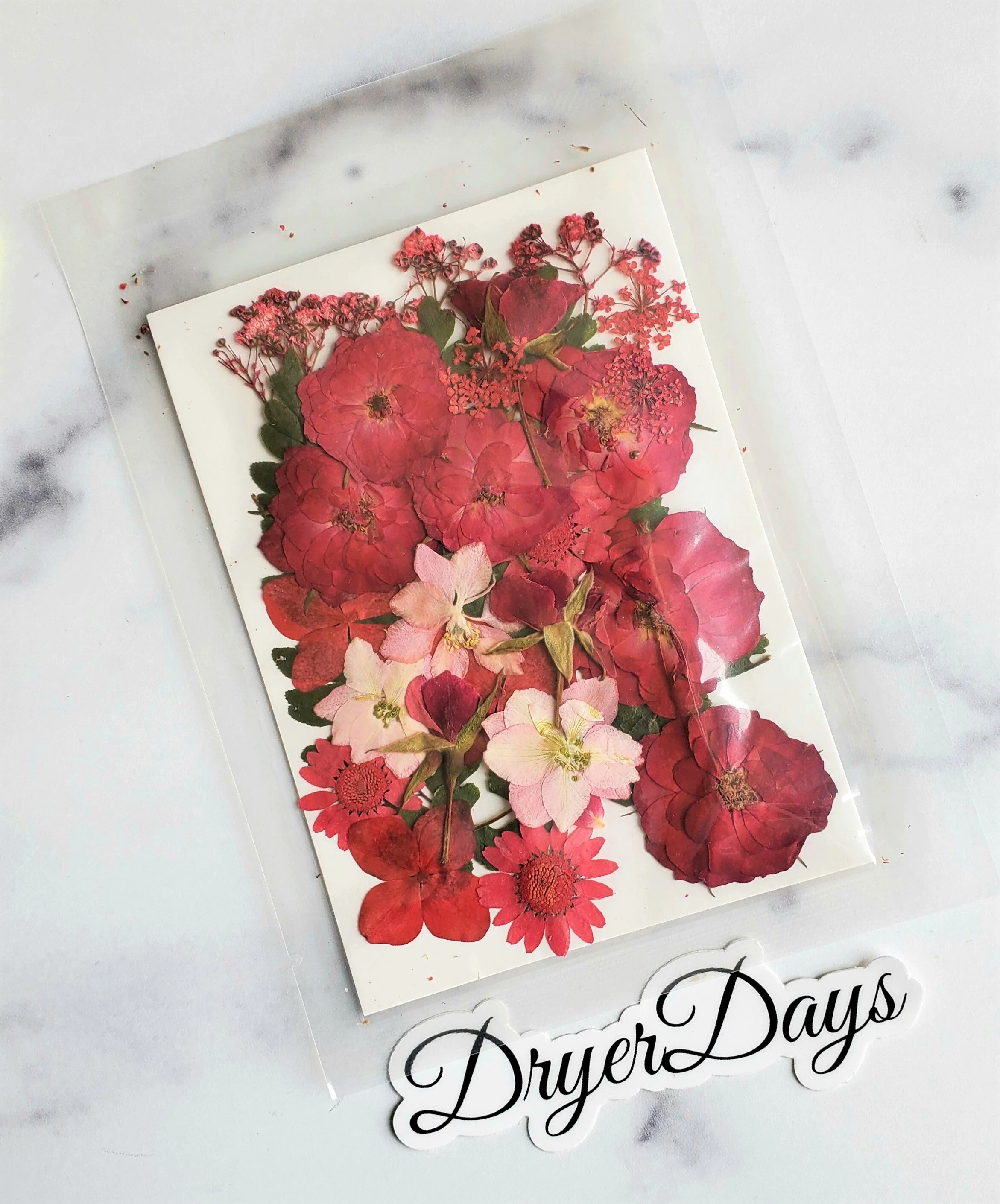 Large Pack Red Dried Flowers — Dryer Days