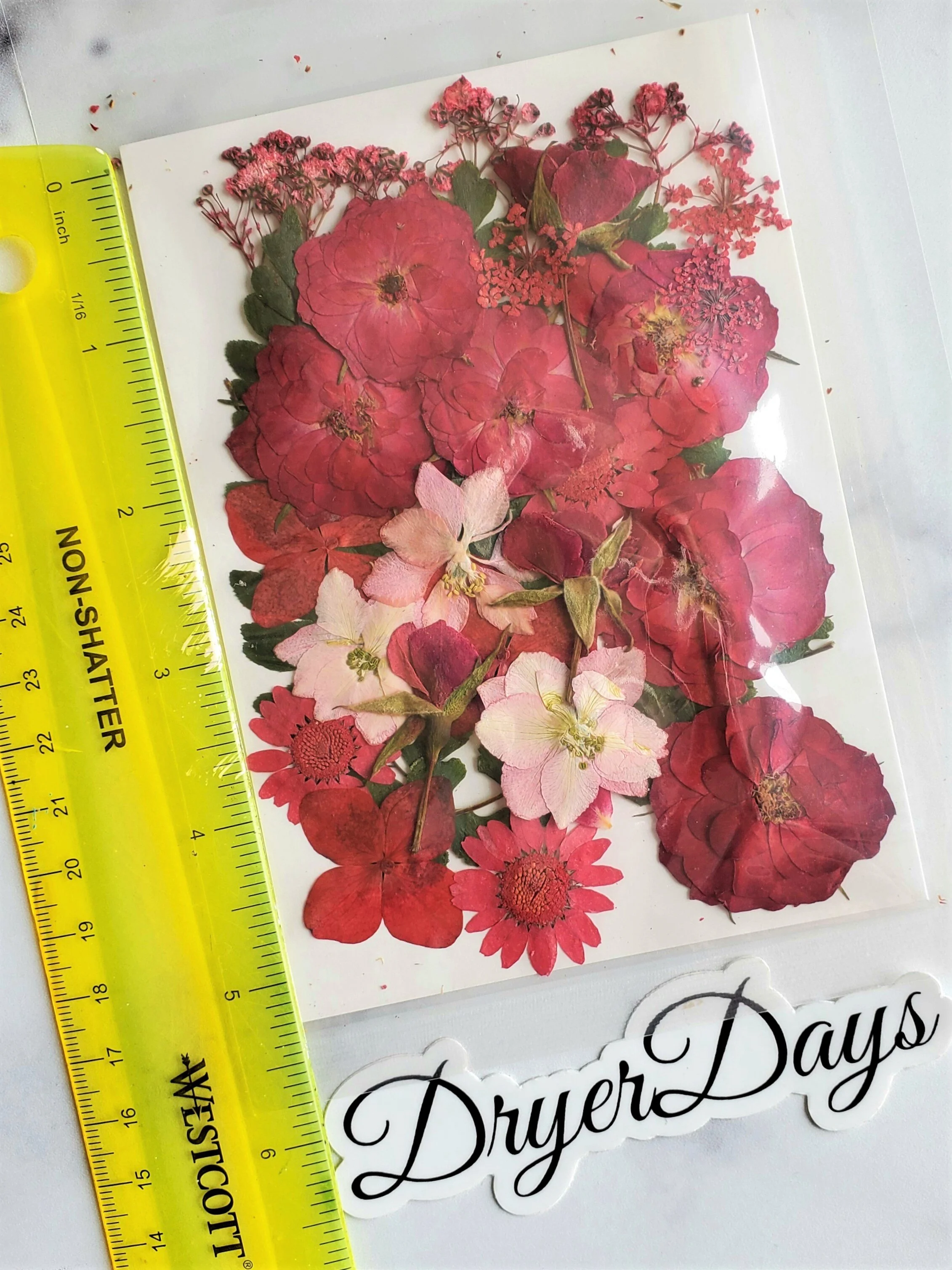 Large Pack Red Dried Flowers — Dryer Days