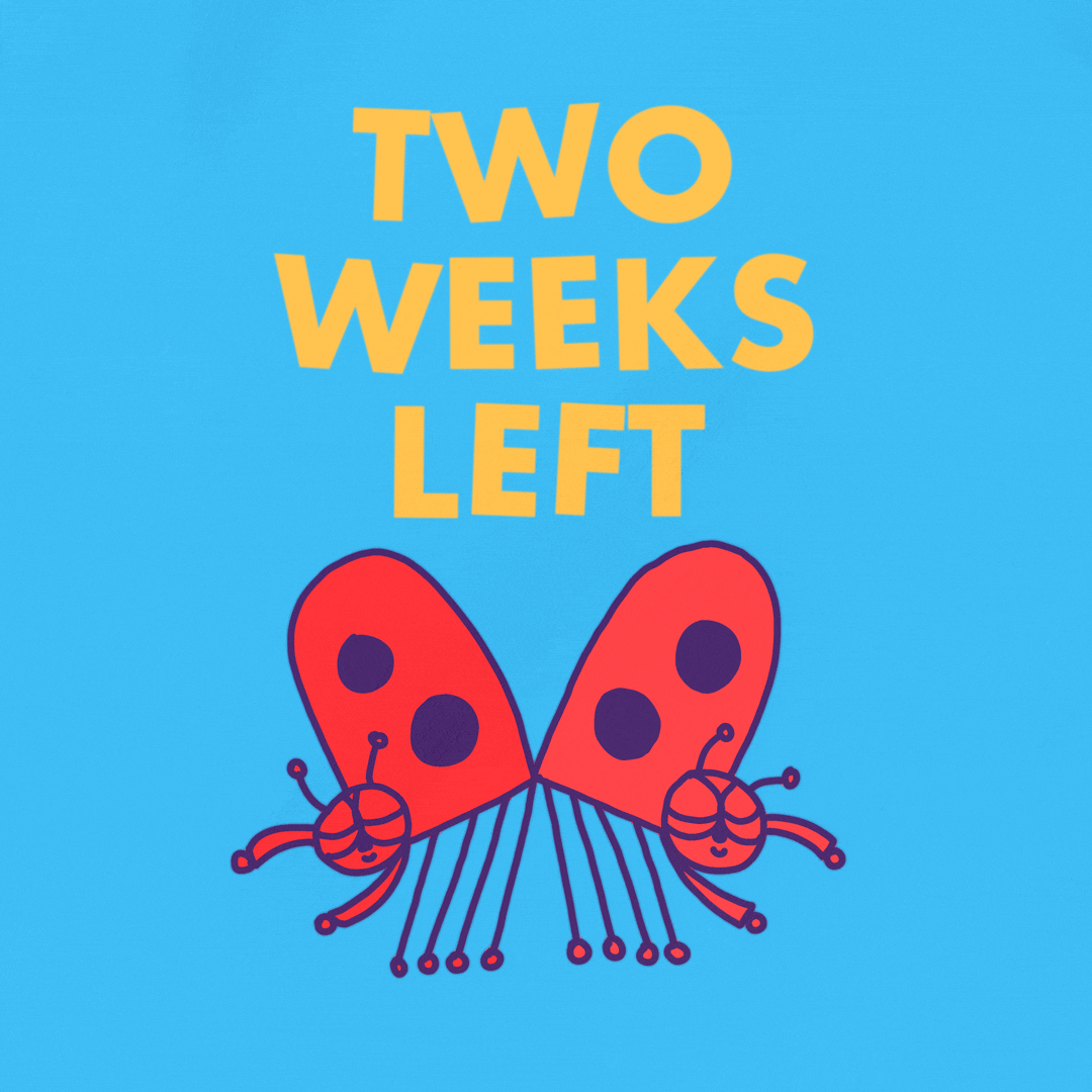 2weeks_left_2_optimized.gif