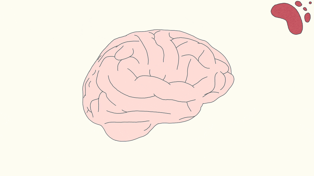 aeon_brain_optimized.gif
