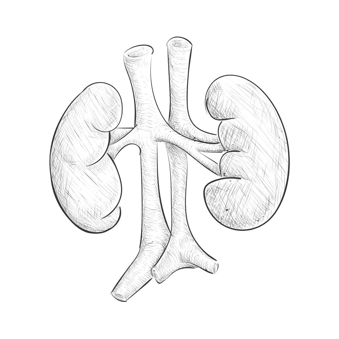 A Brief Overview Renal Replacement Therapy