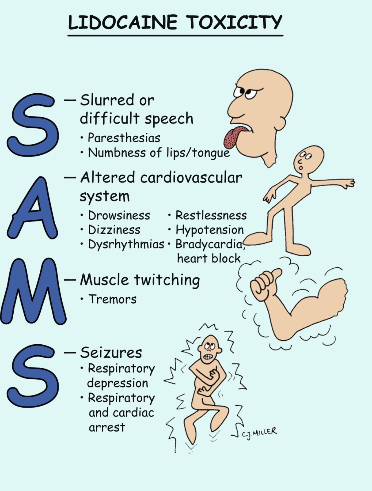 Lidocaine Toxicity&nbsp;