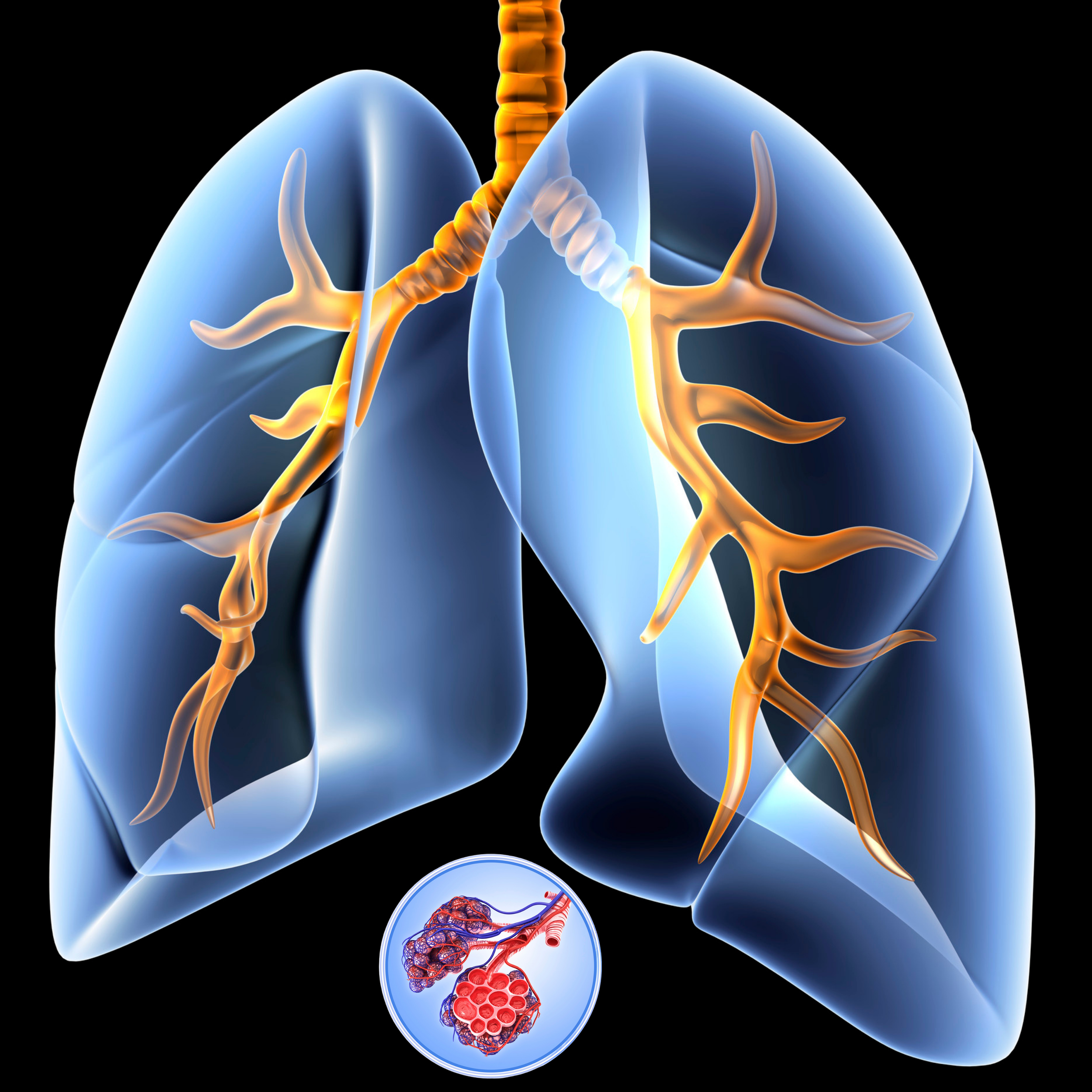 Respiratory Basics: Understanding Oxygenation, Ventilation, and Respiratory Complications